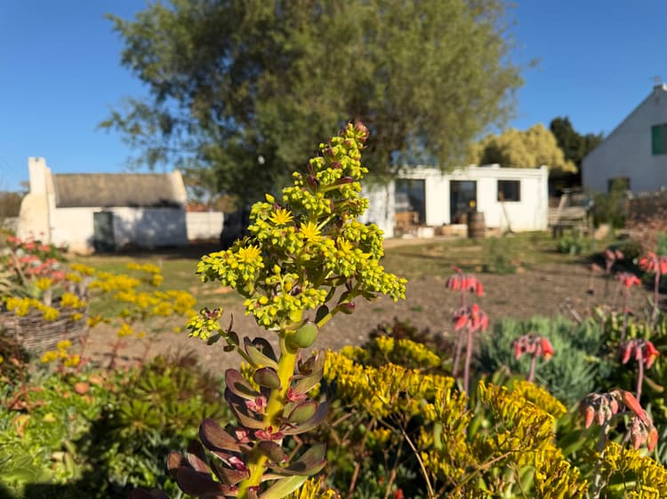 Main property image