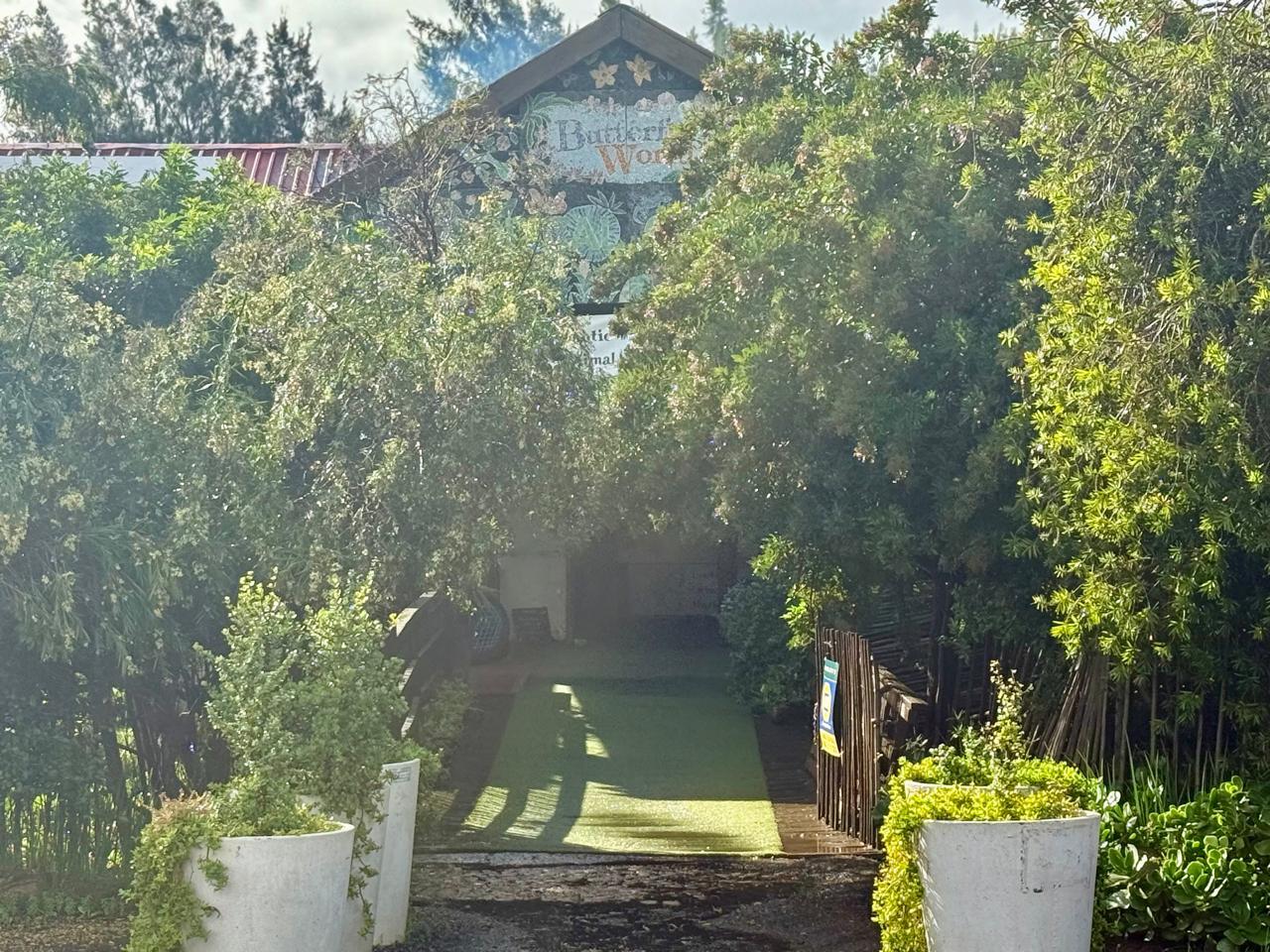 Image 13