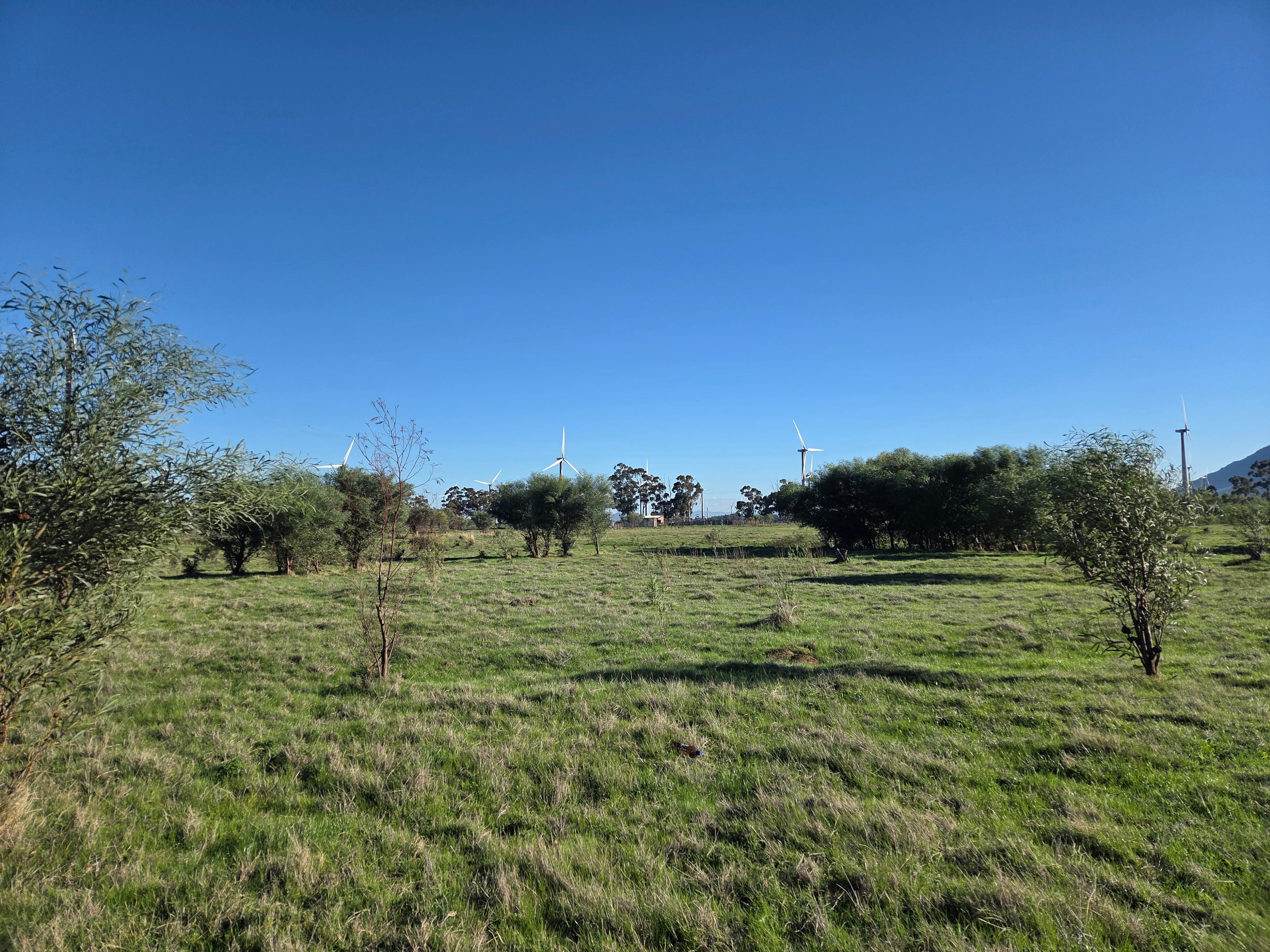 Image 5 of 6