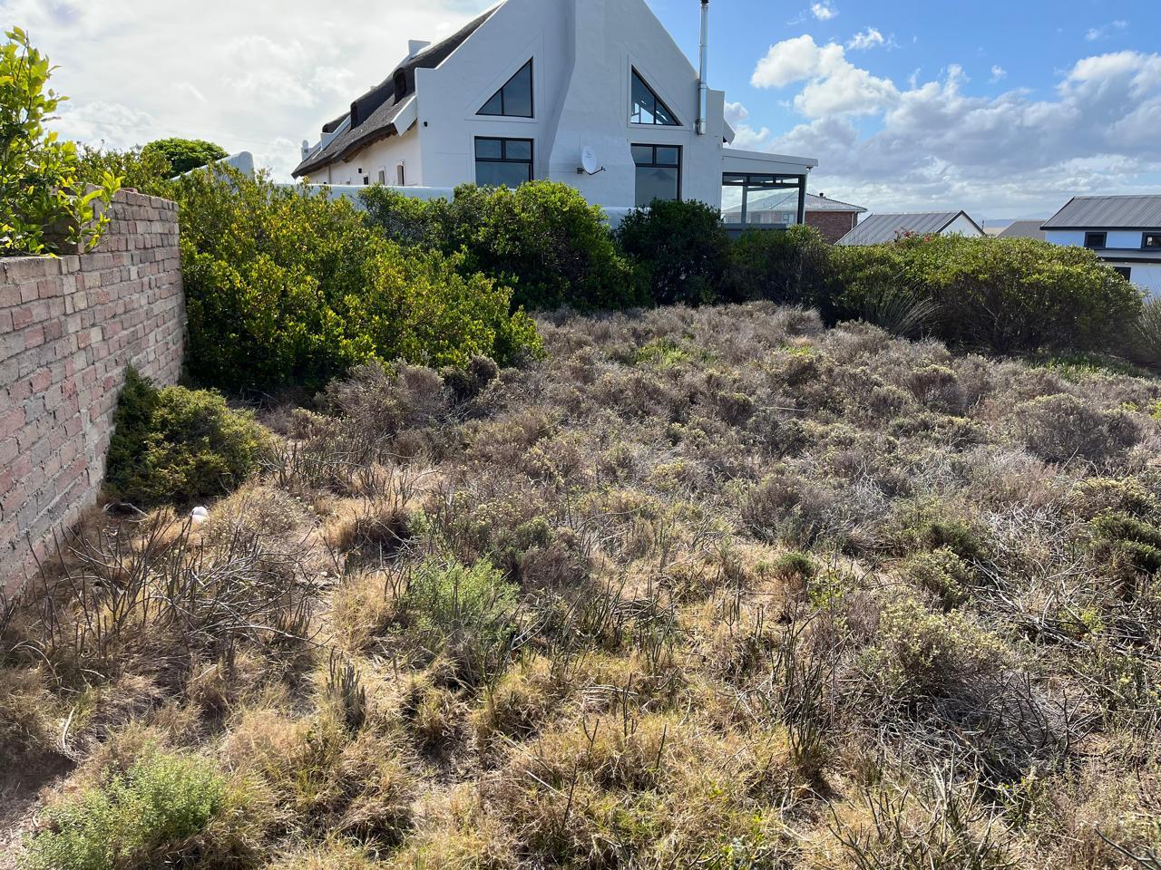 Image 9