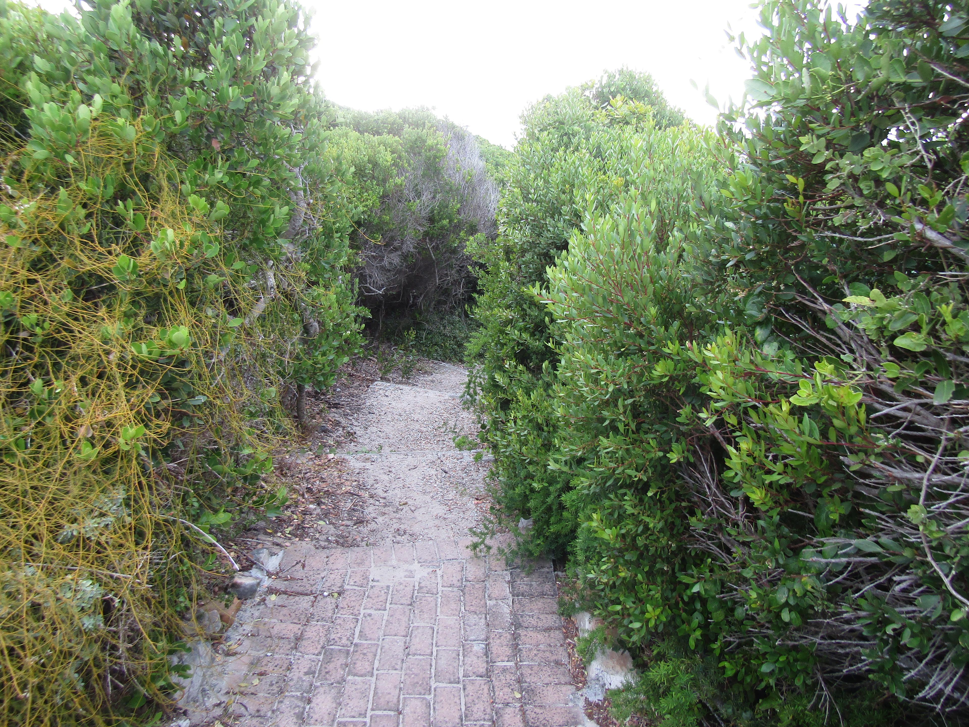 Image 12
