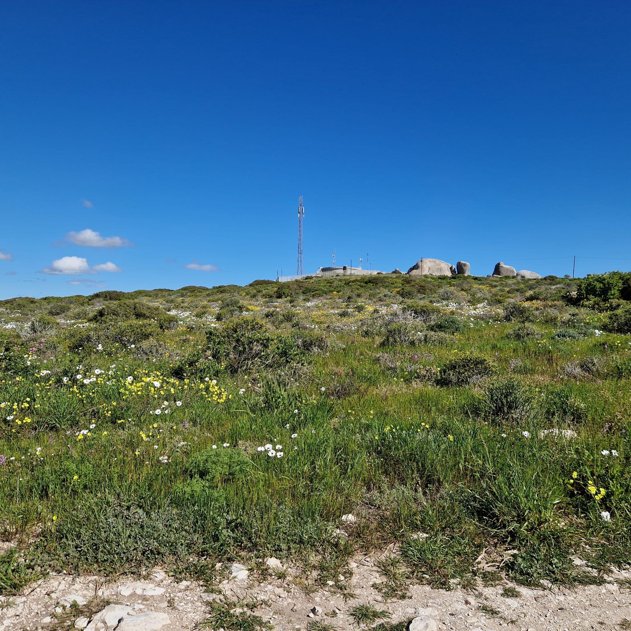 Image 5 of 6