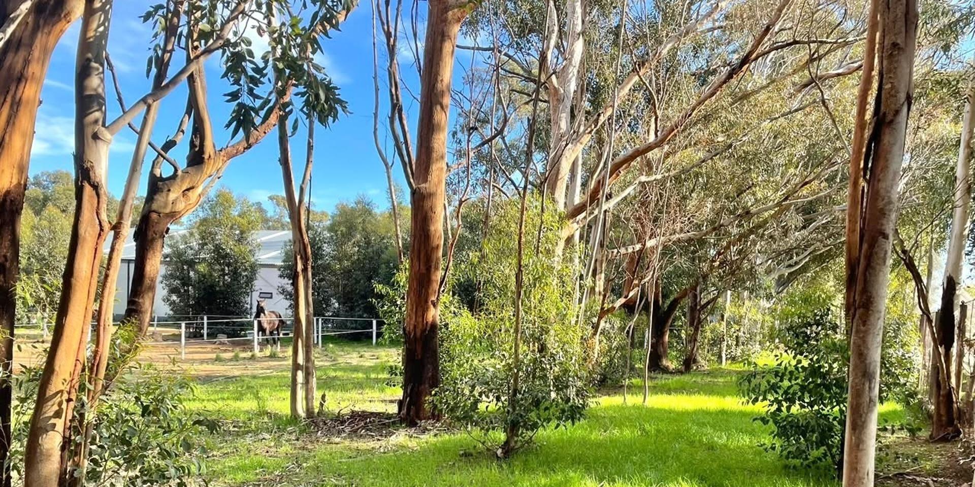 Image 4 of 6