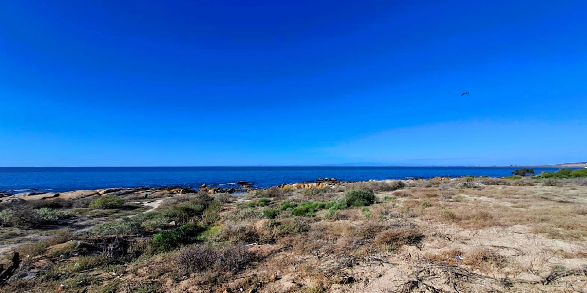 Image 5 of 6