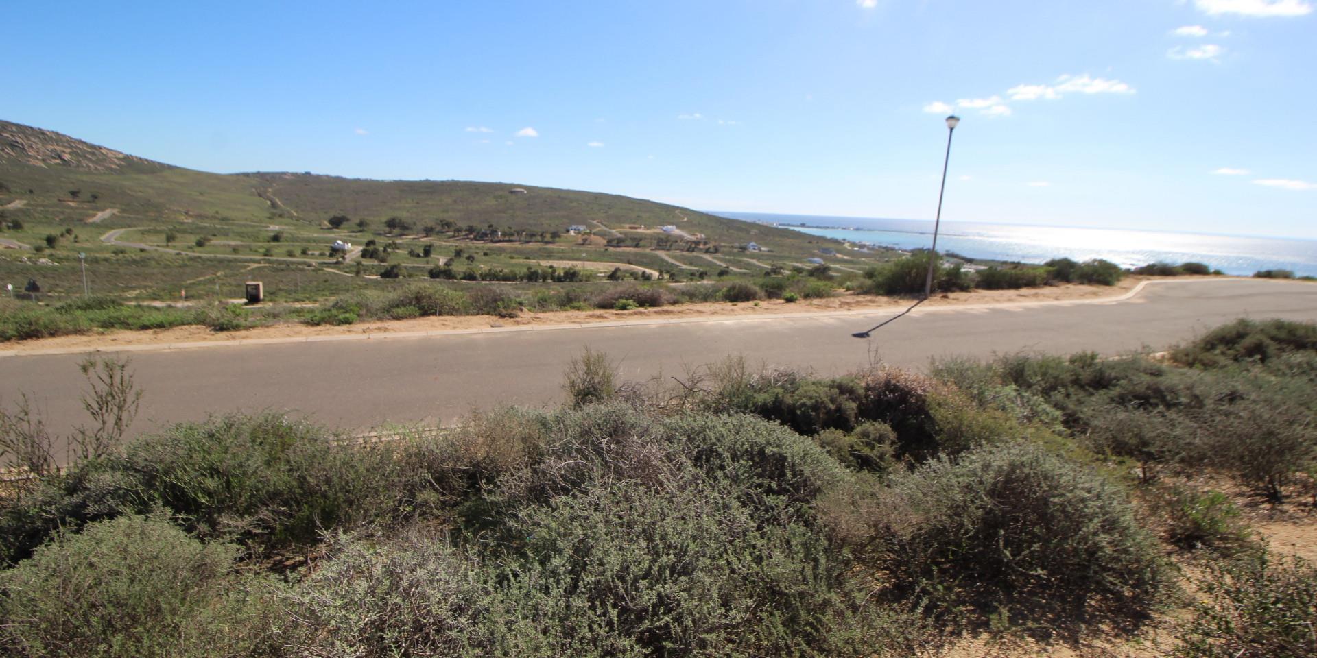 Image 5 of 6