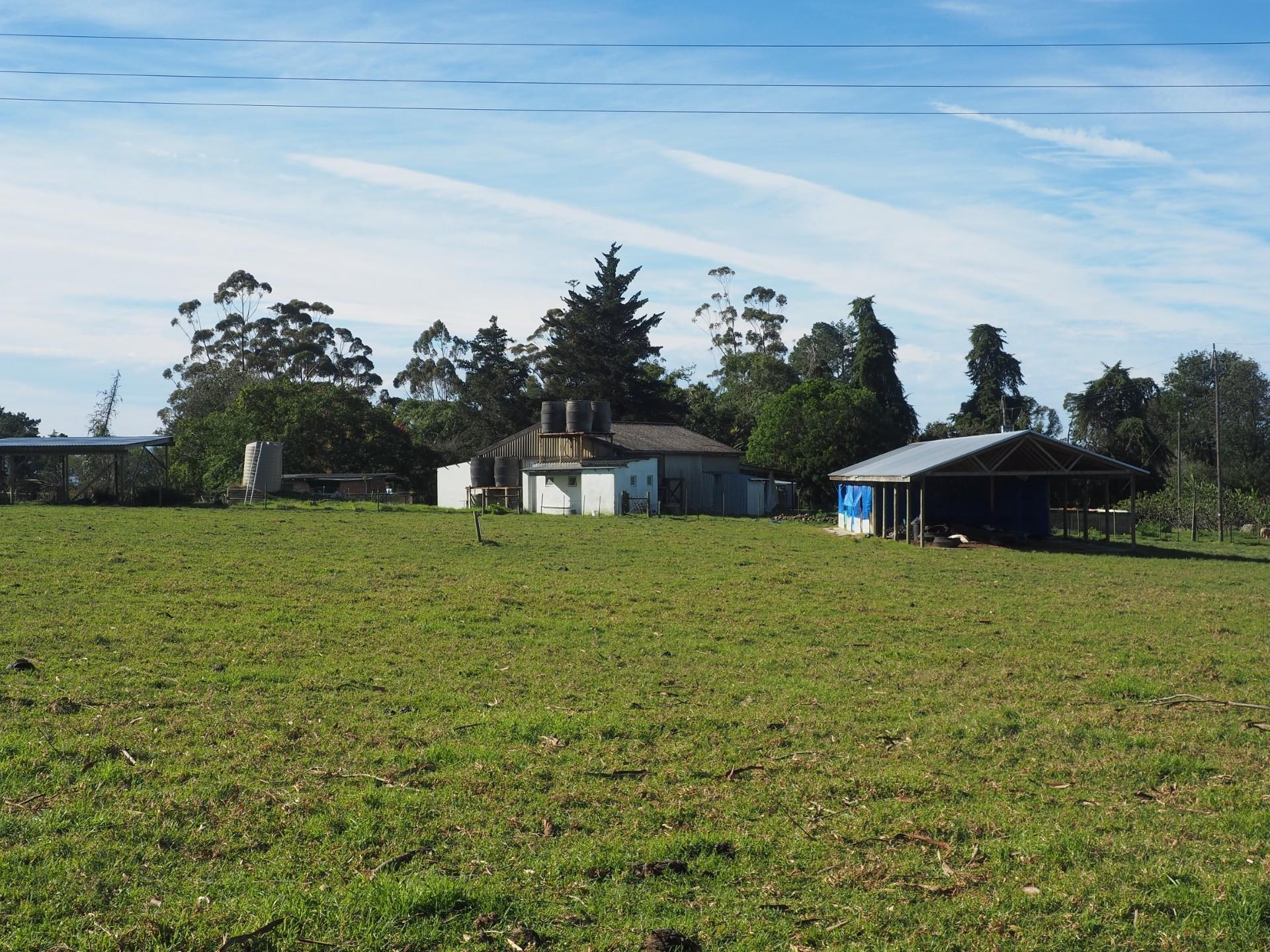 Image 60