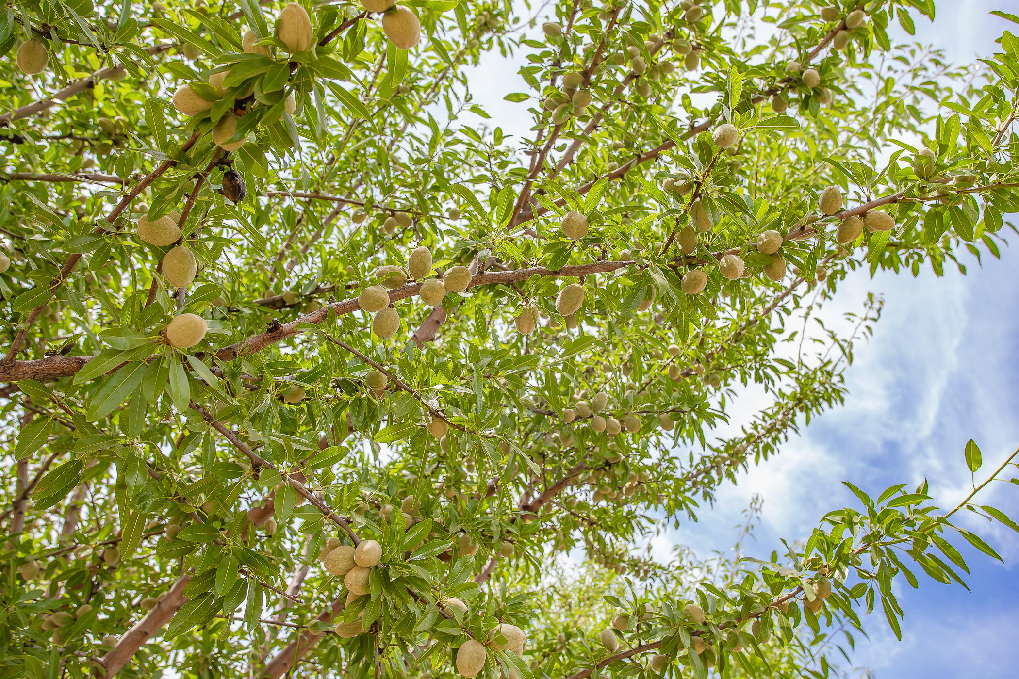 Image 93