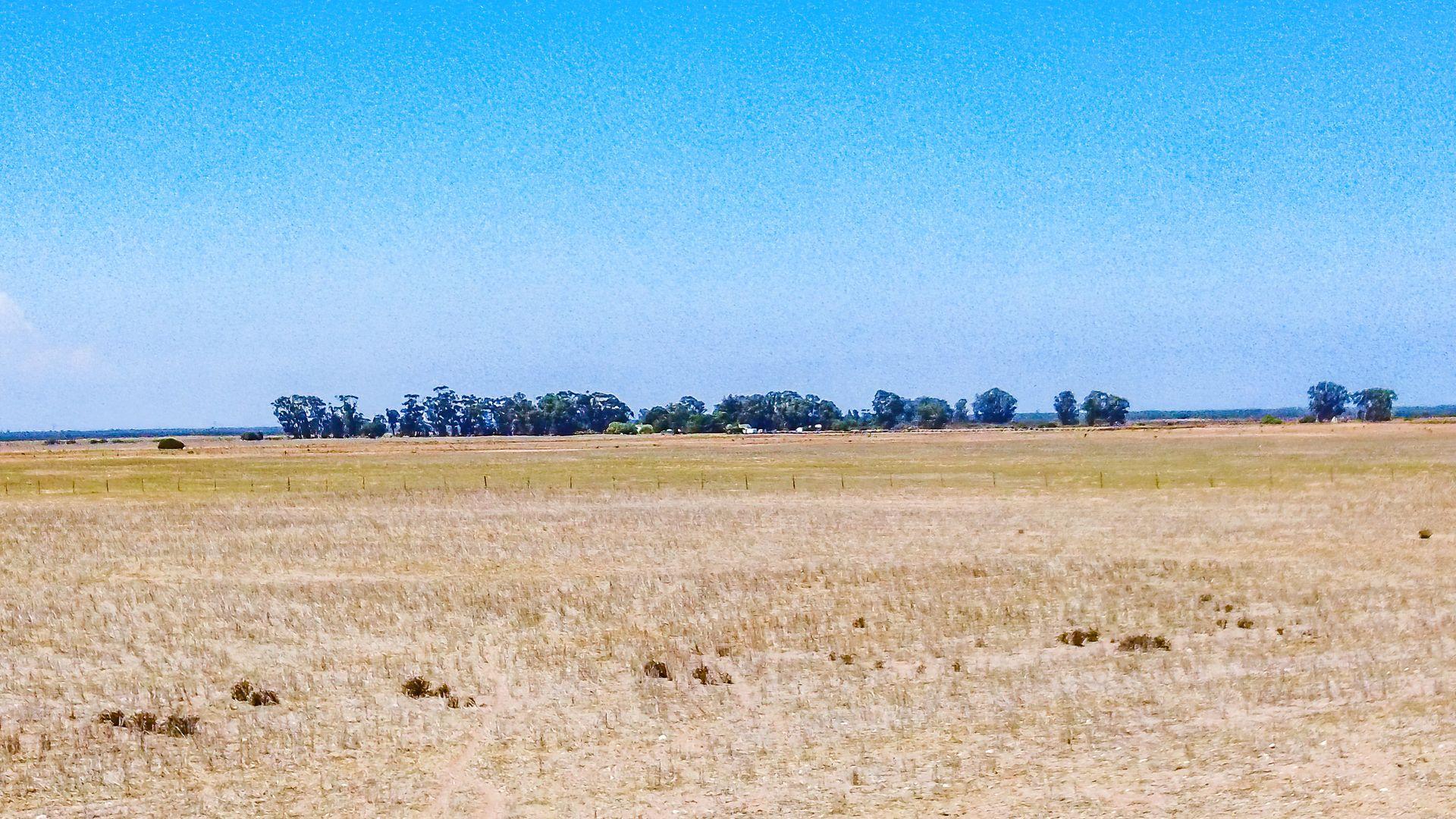 Image 30