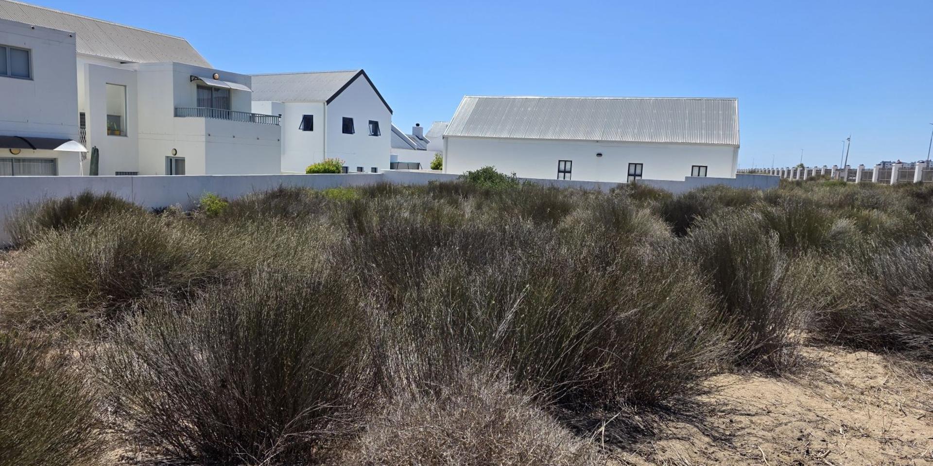 Image 4 of 6