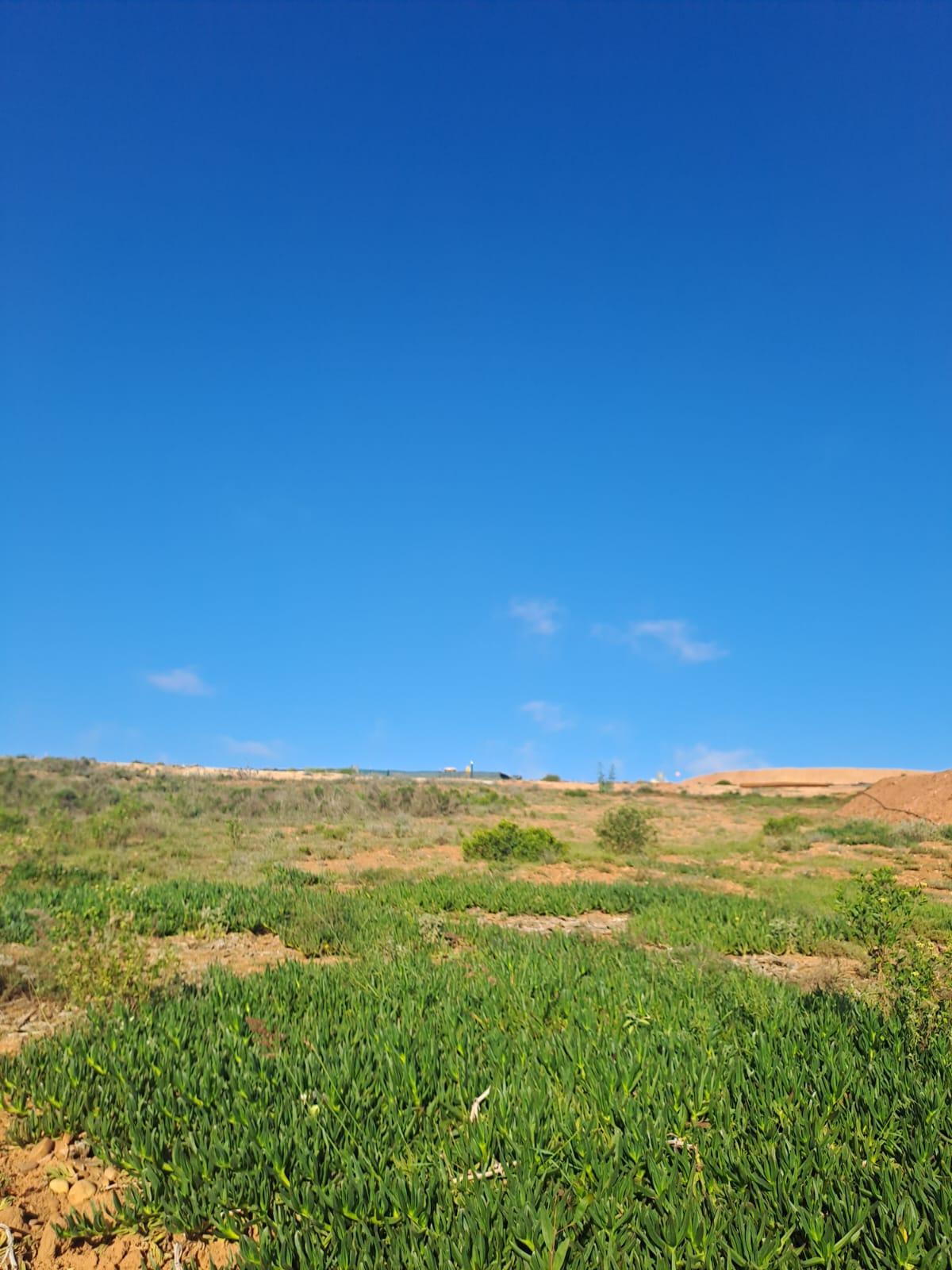 Image 21