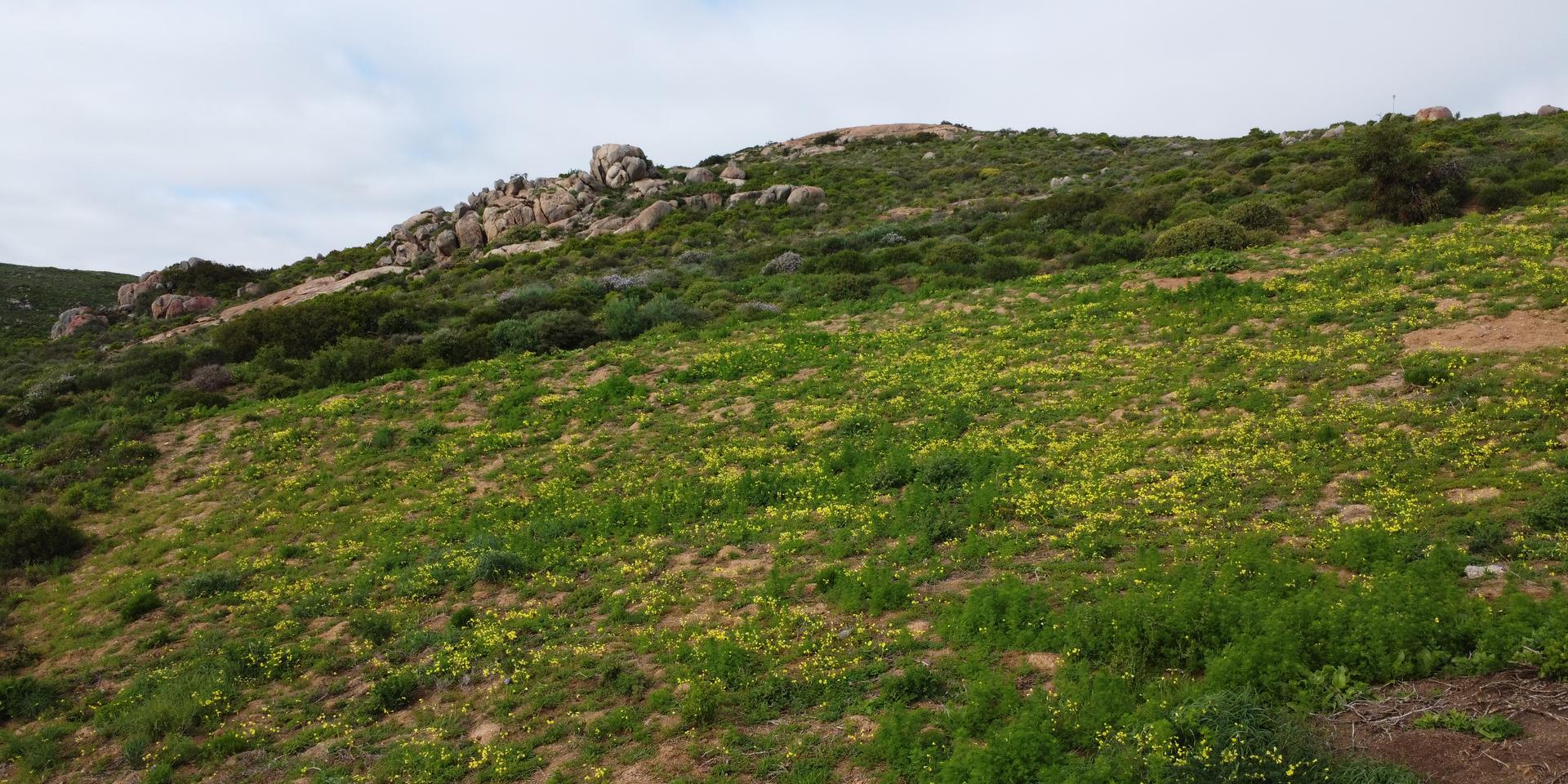 Image 4 of 6