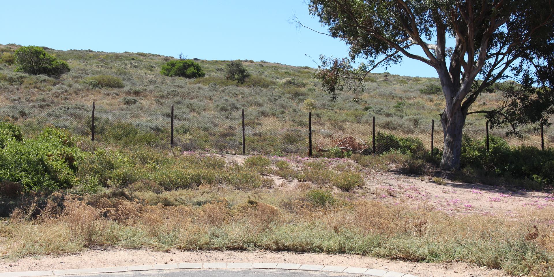 Image 4 of 6