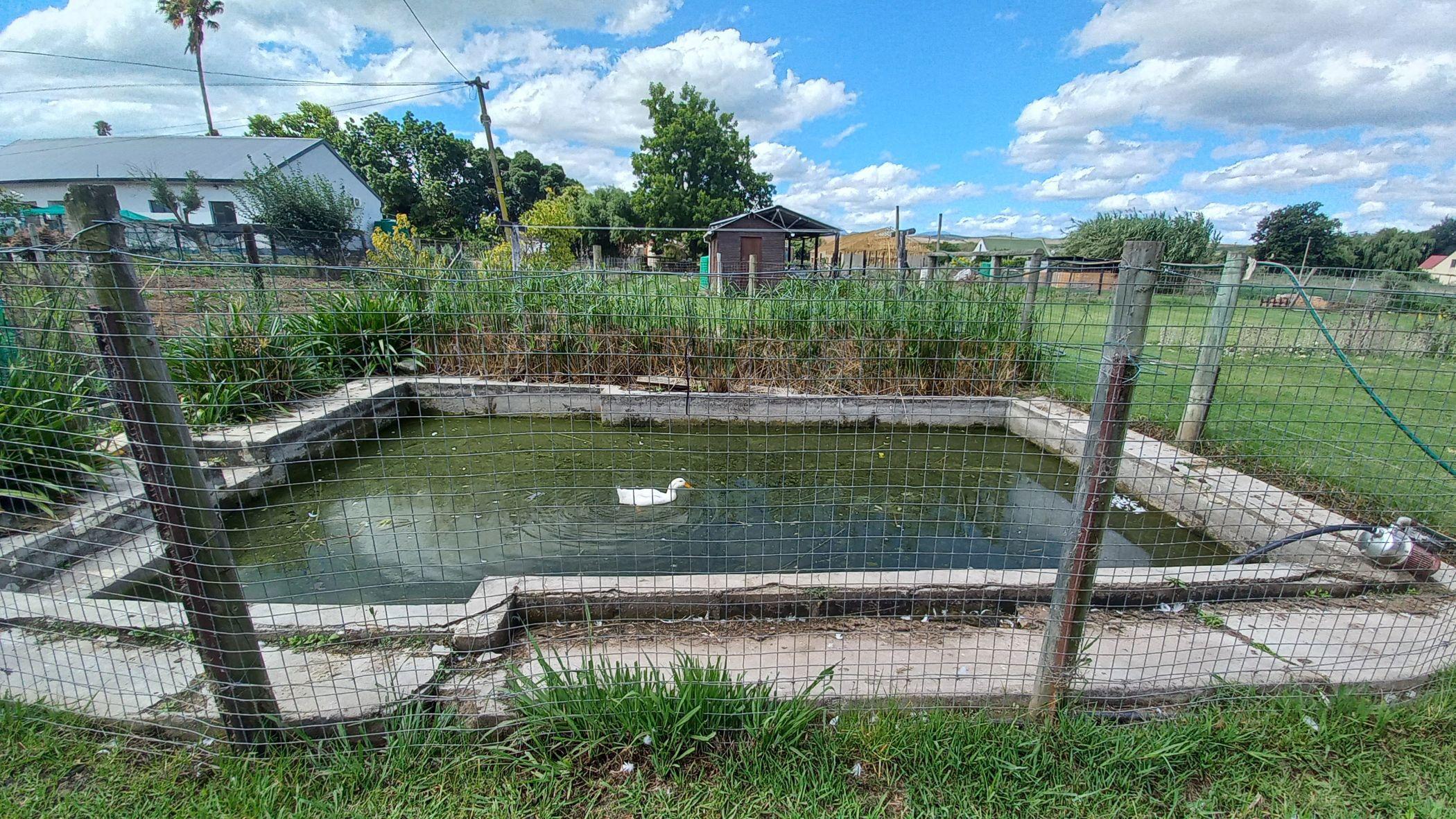 Image 27