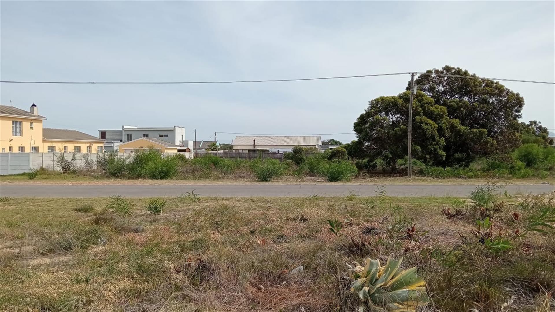 Image 10