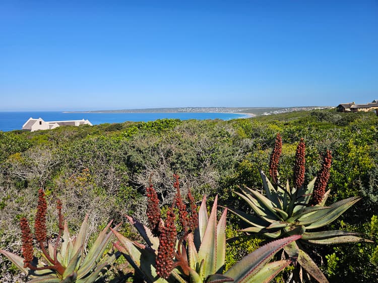 Main property image