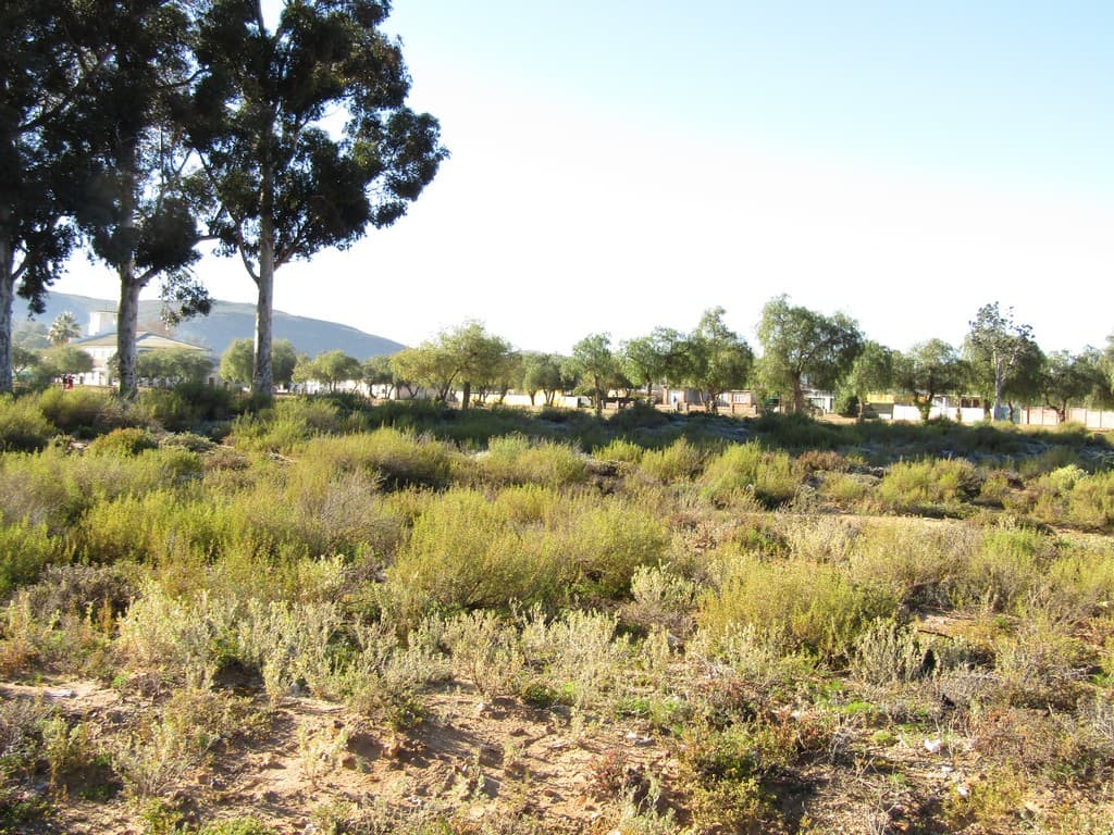 Image 4 of 6