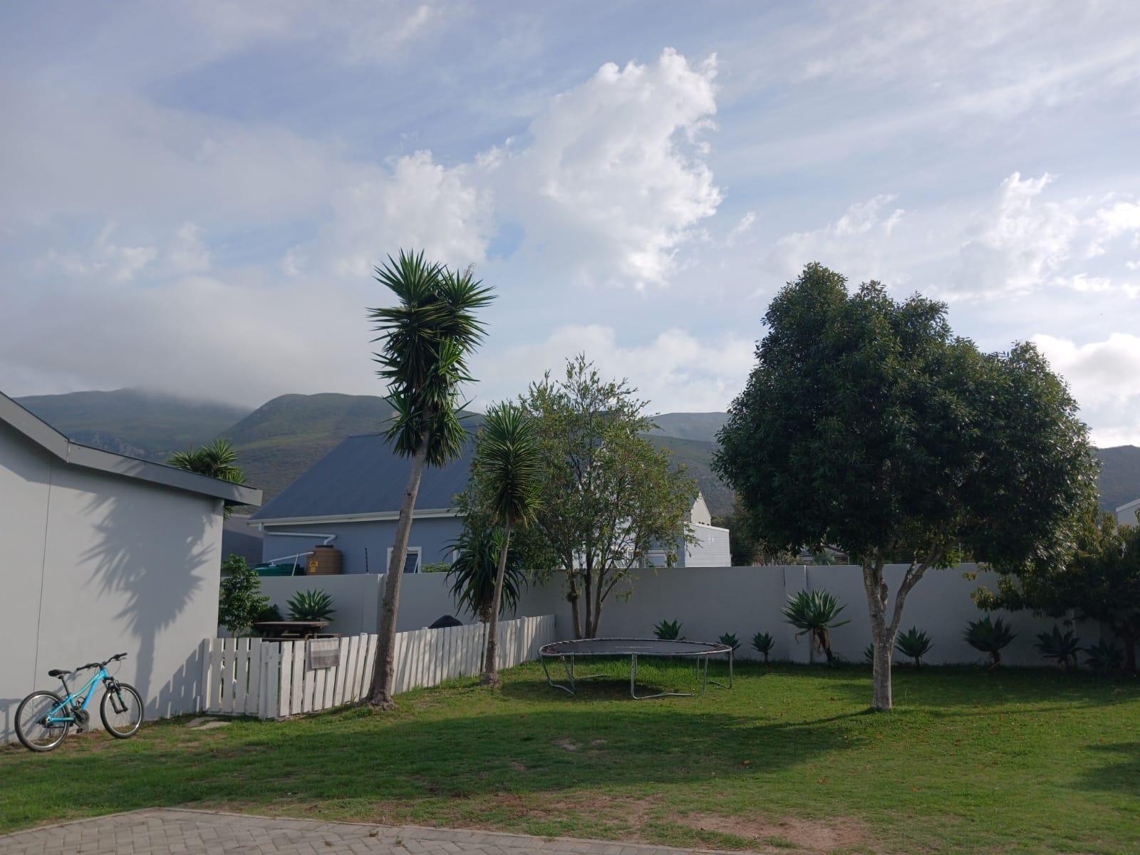 Image 13