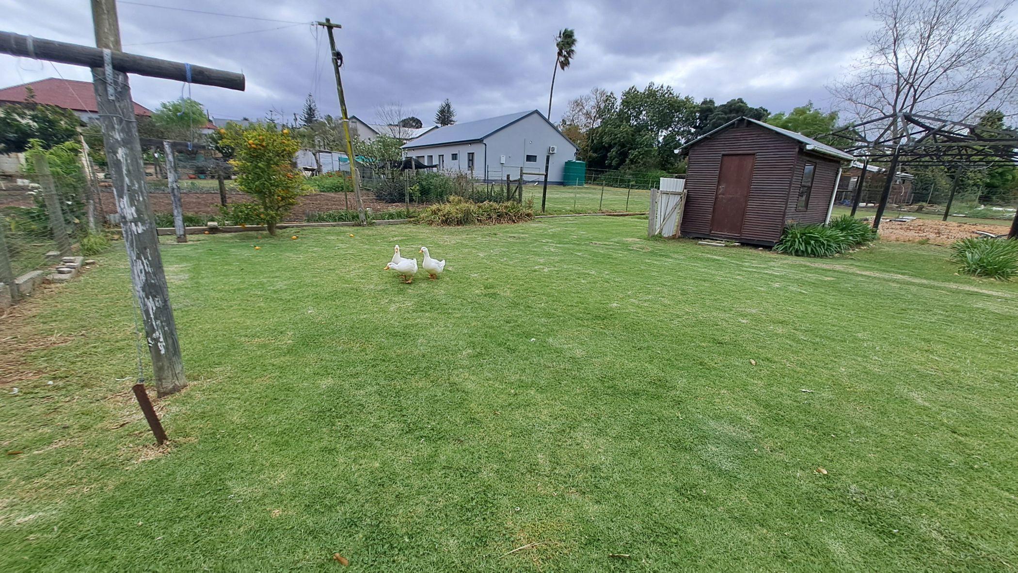 Image 33