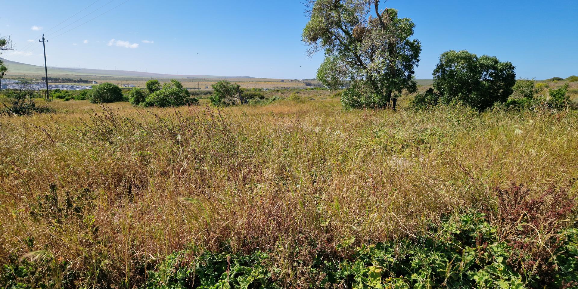 Image 4 of 6