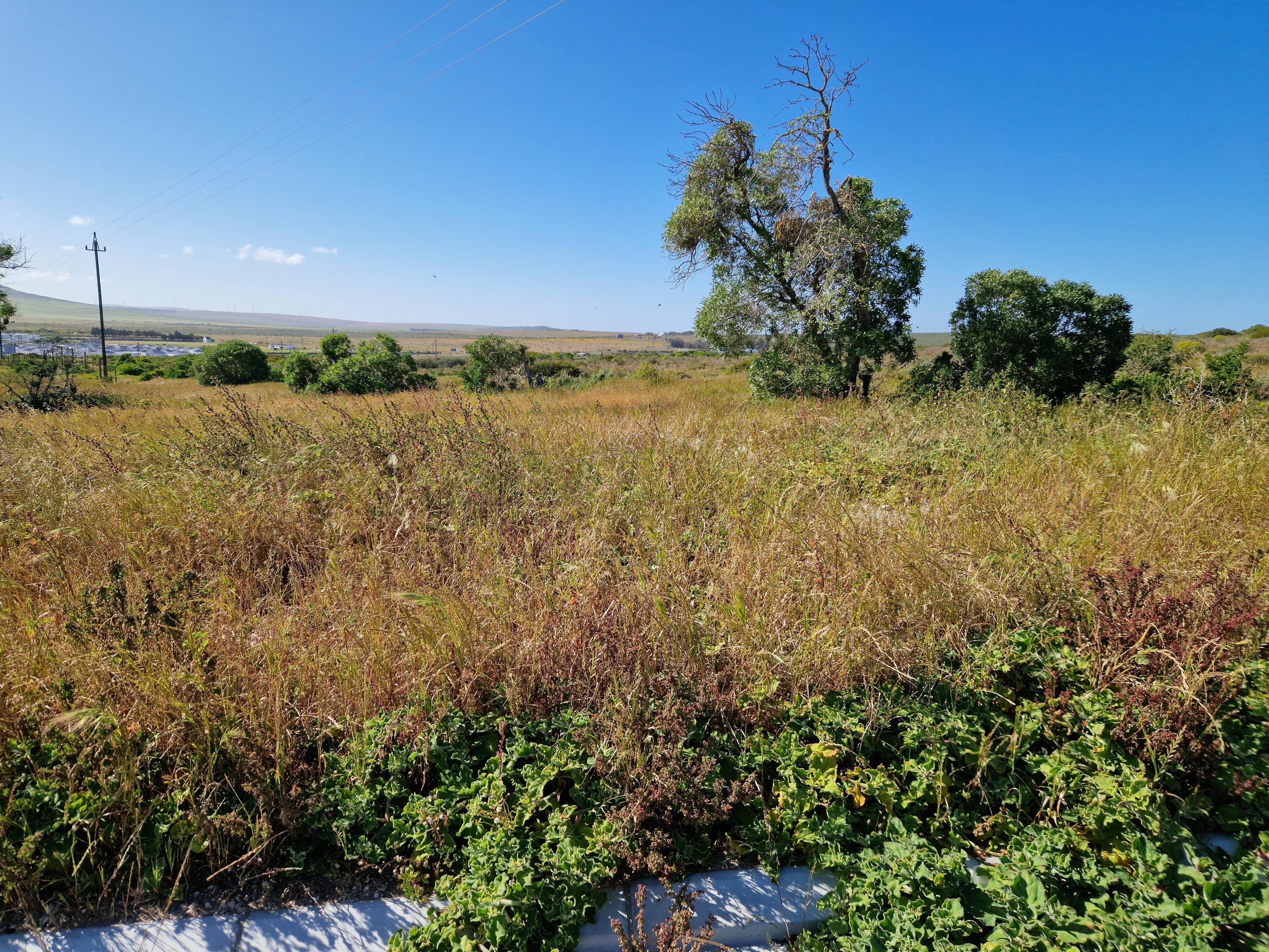 Image 4 of 6