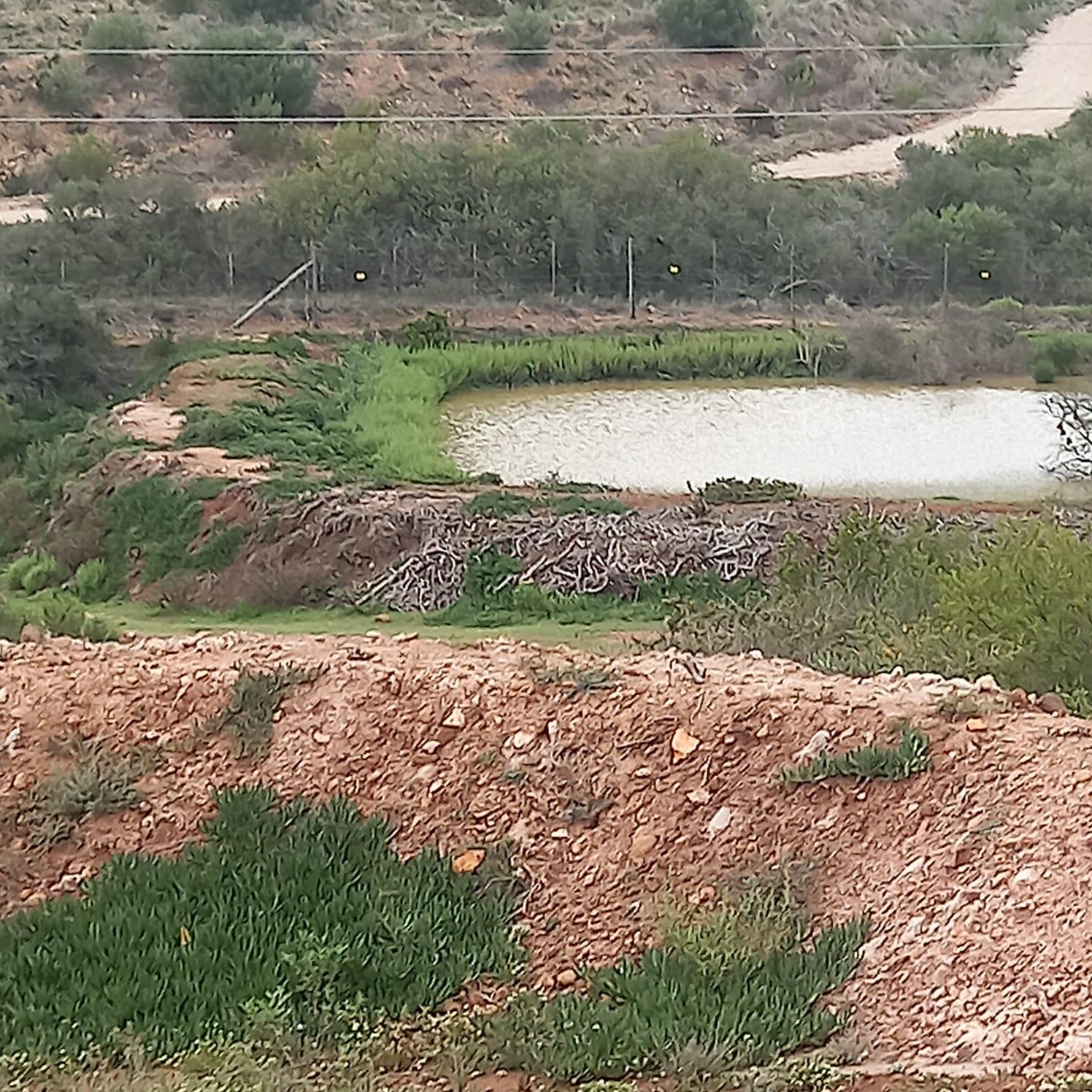 Image 2 of 6