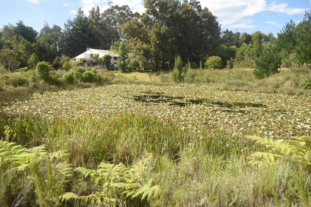 Image 15