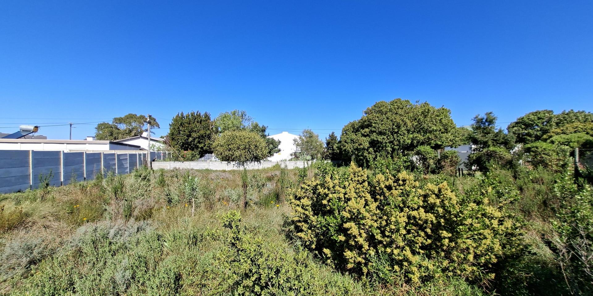 Image 4 of 6
