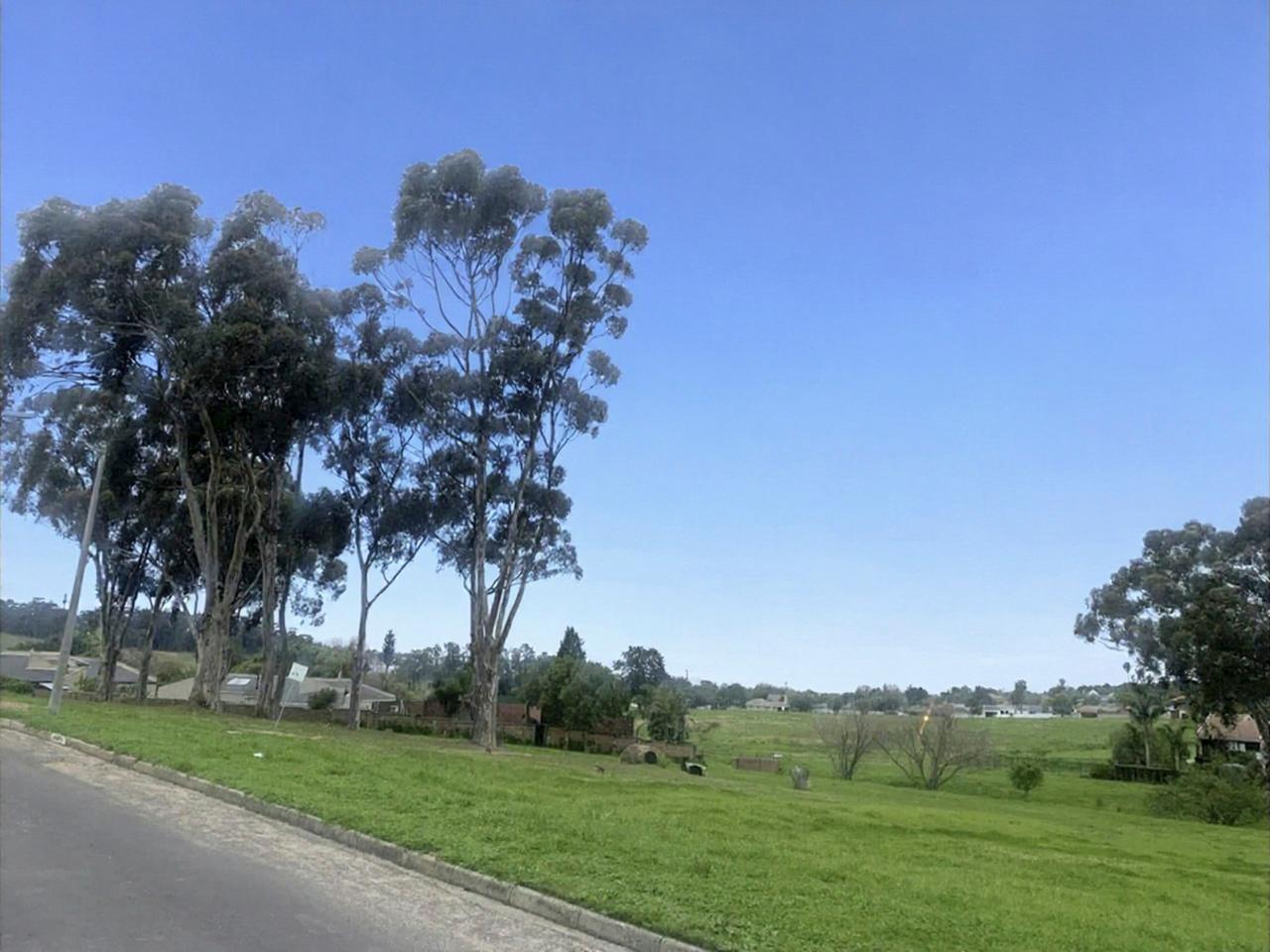 Image 52