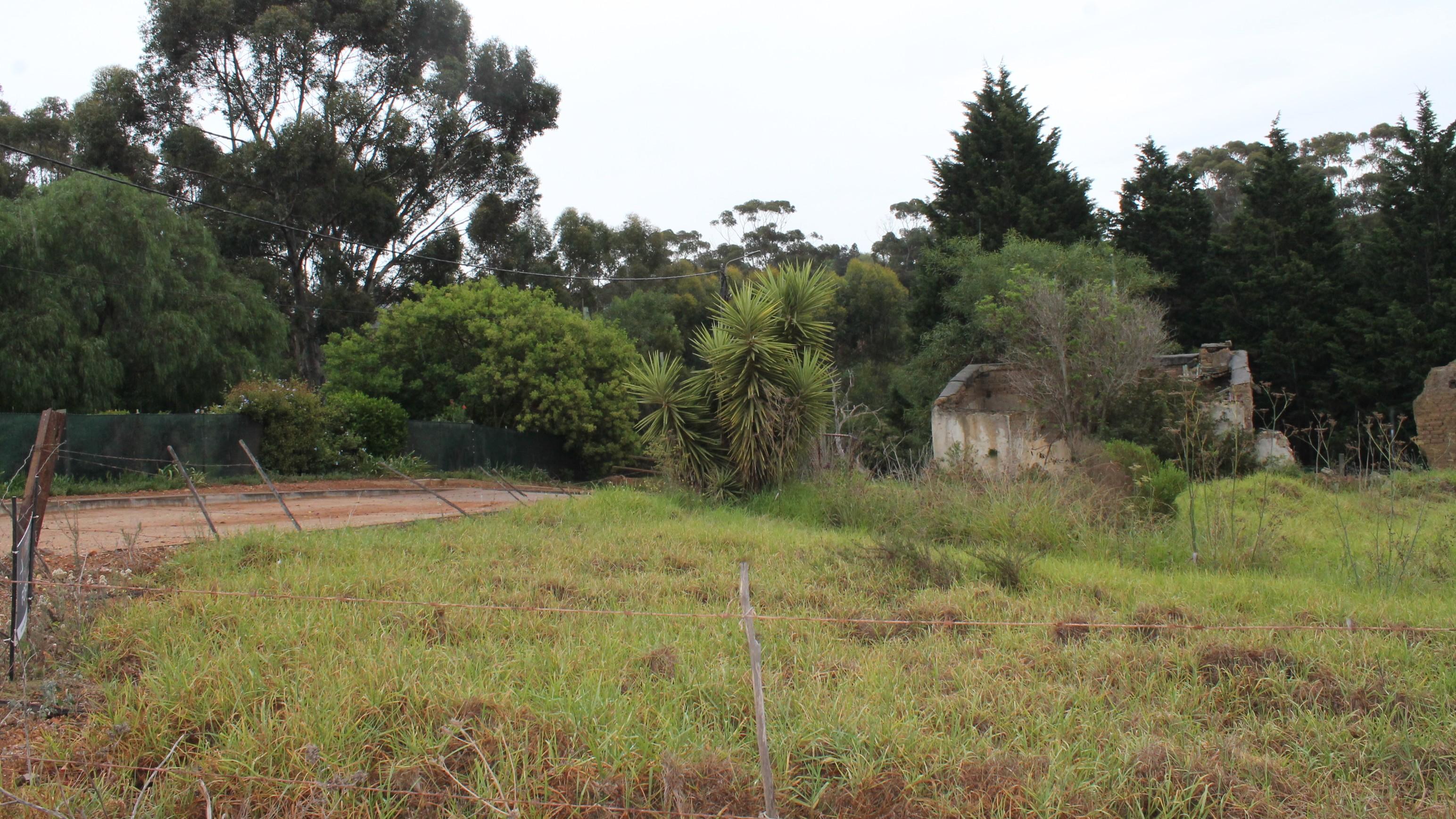 Image 15