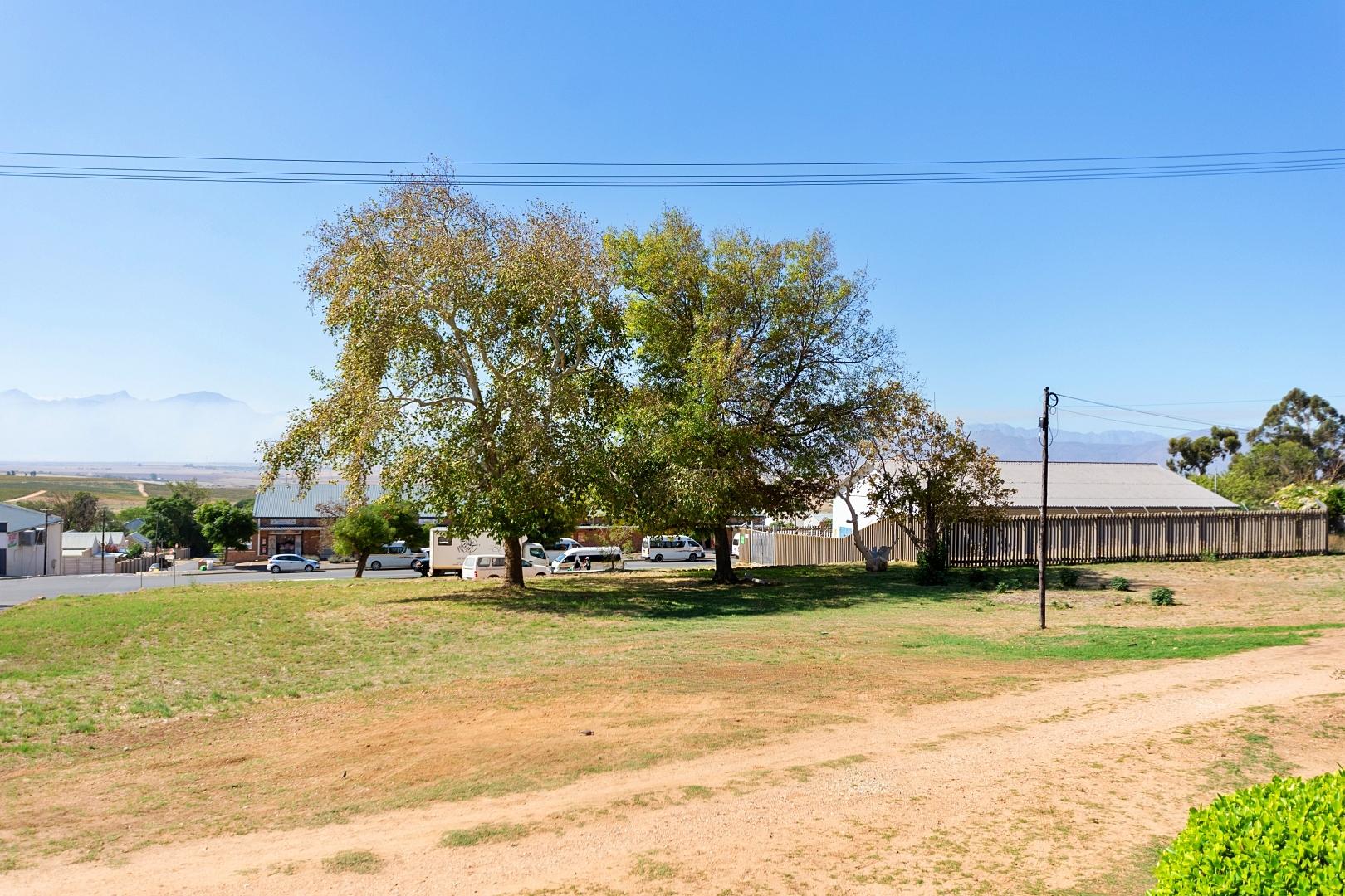 Image 12