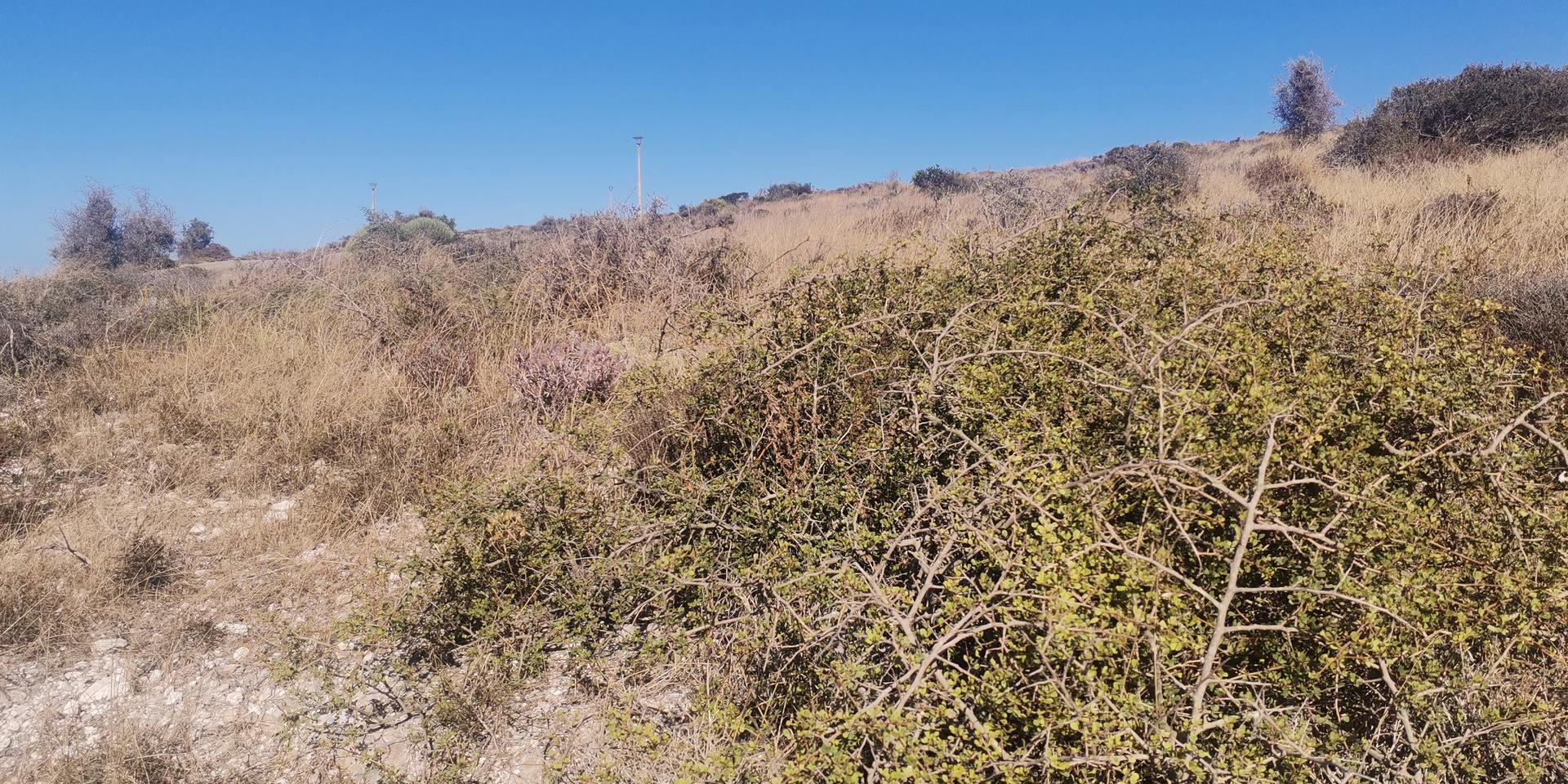 Image 4 of 6