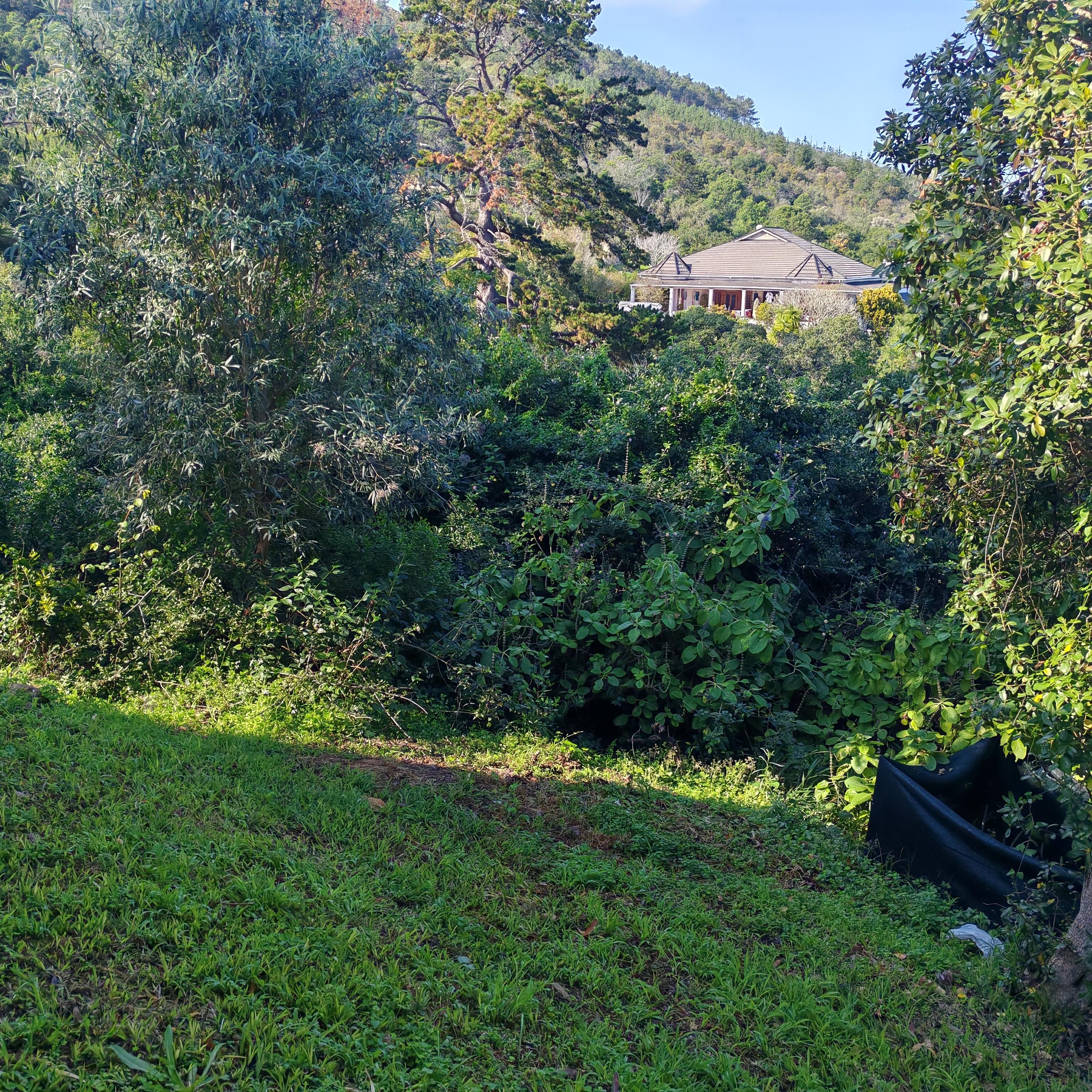 Image 11
