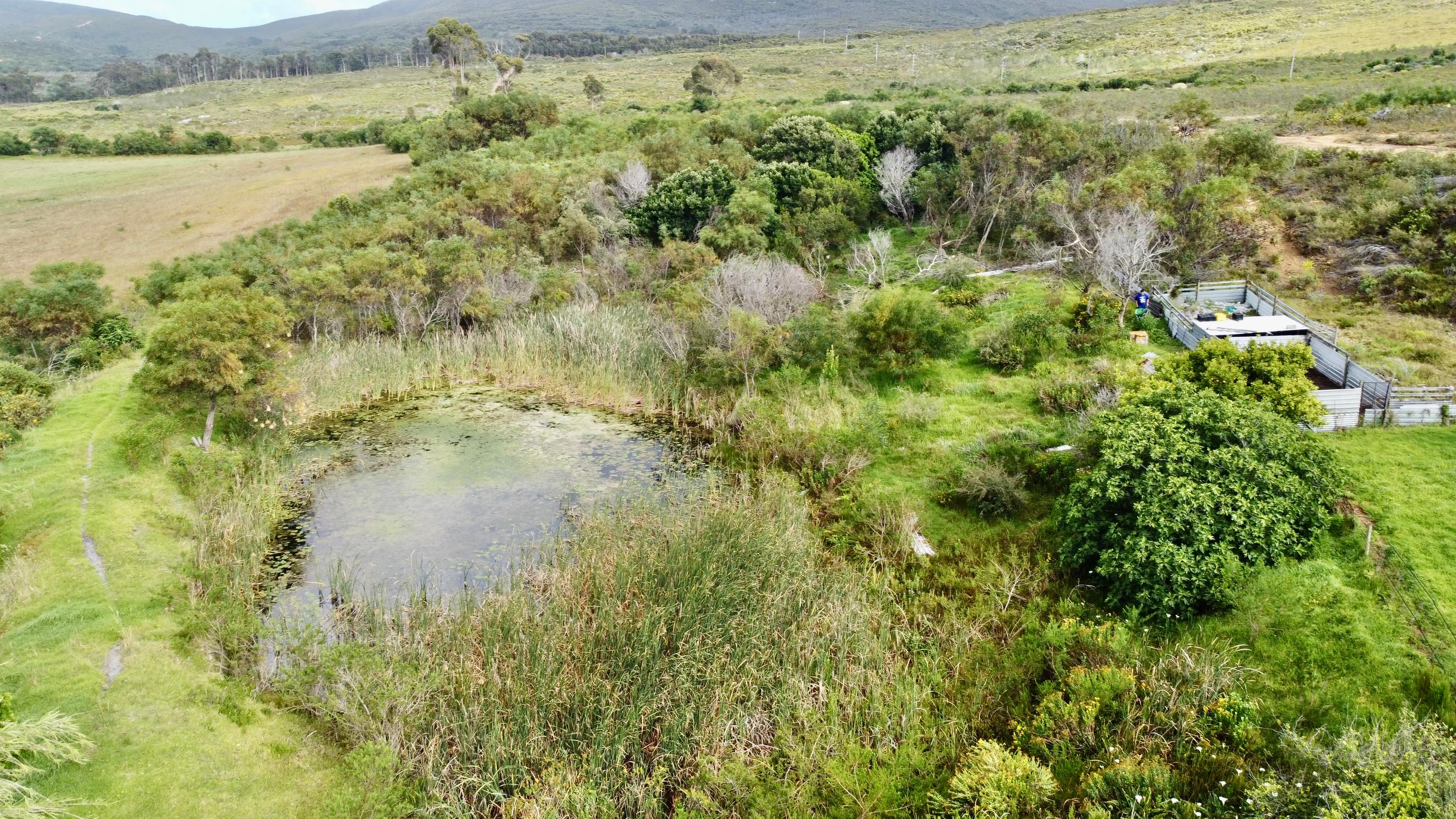 Image 15