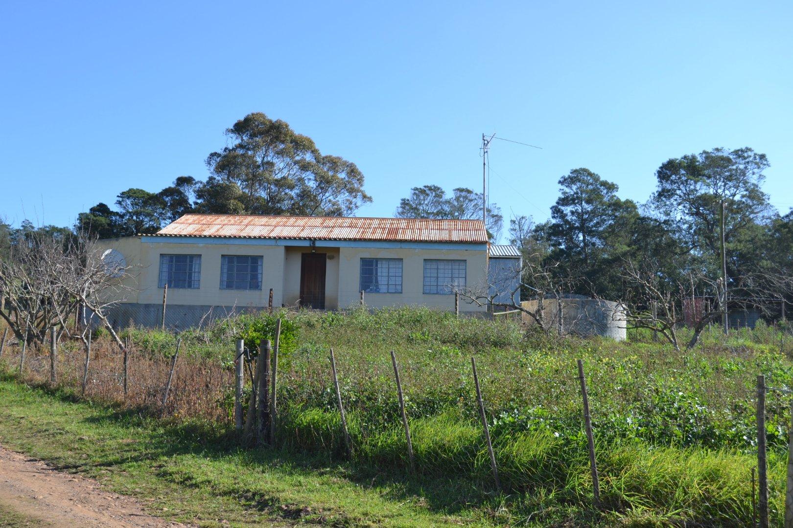 Image 13
