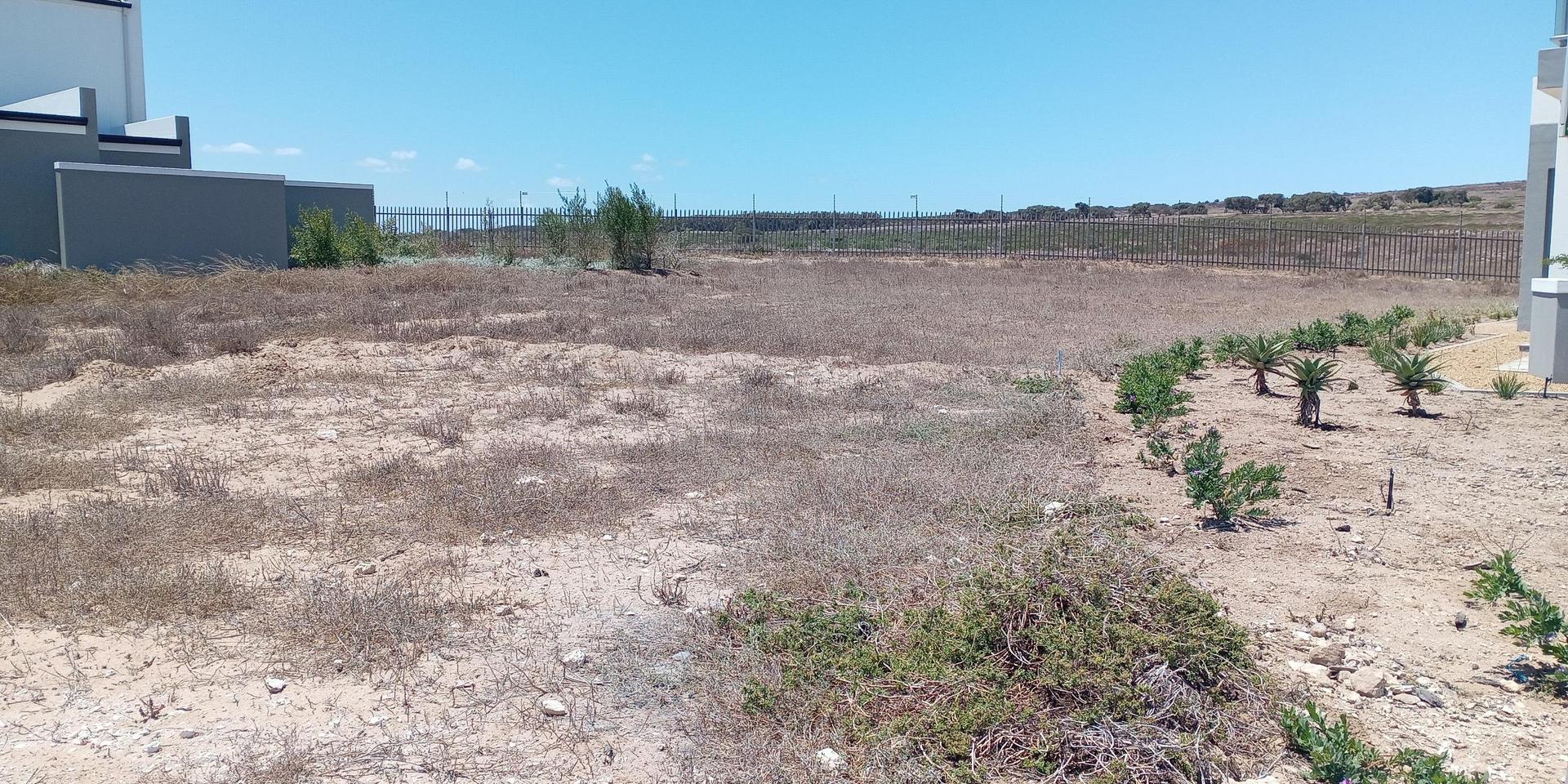 Image 5 of 6