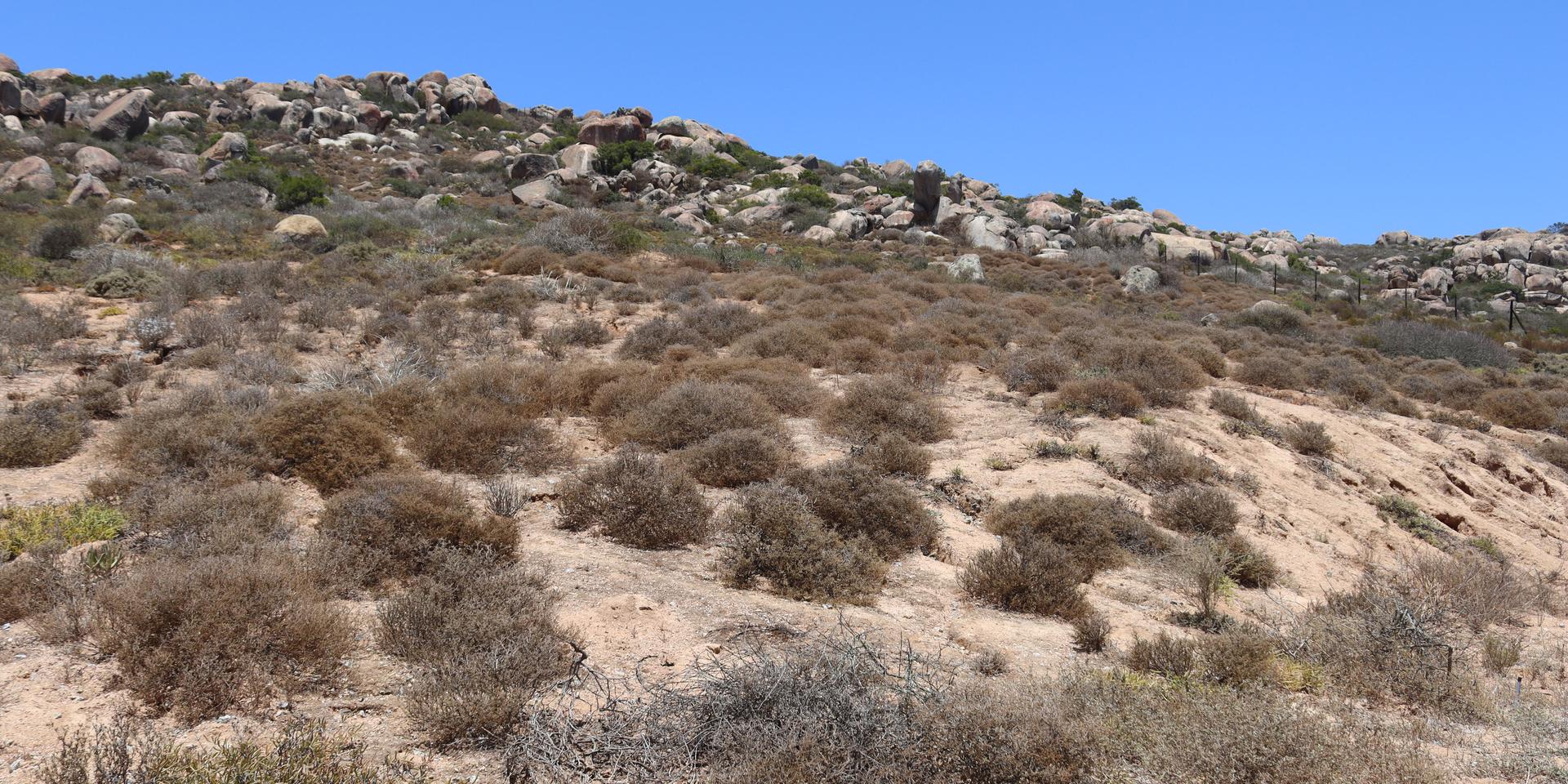 Image 4 of 6
