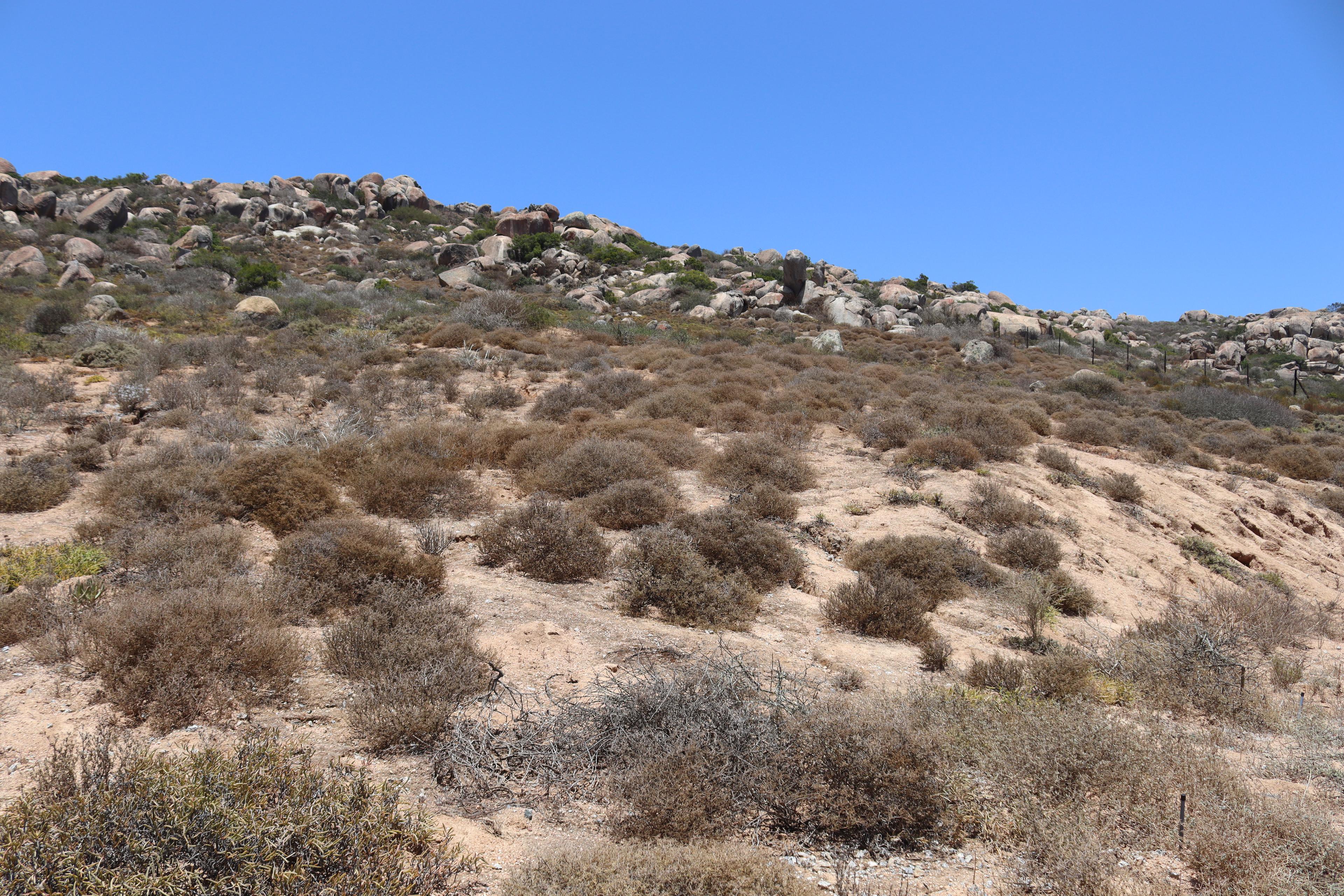 Image 4 of 6