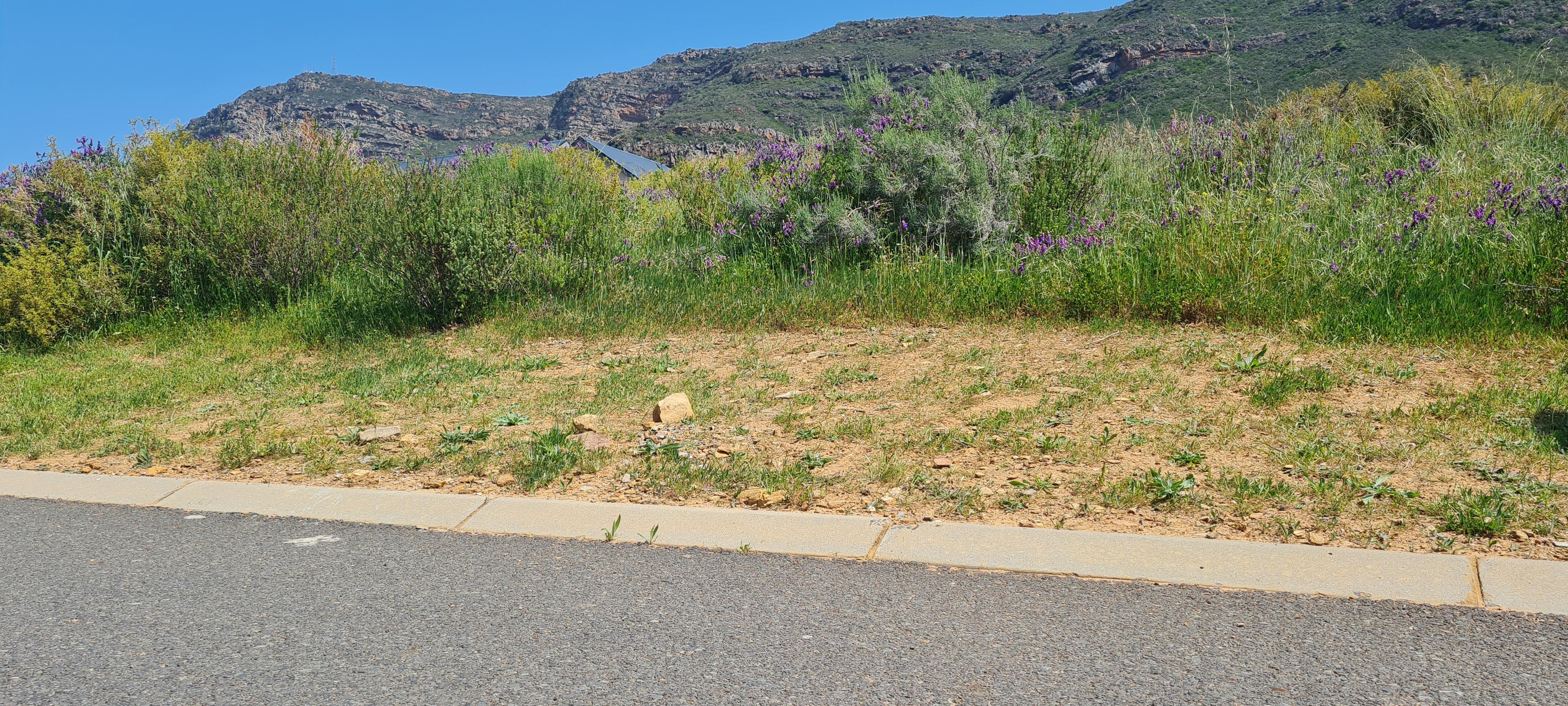 Image 4 of 6