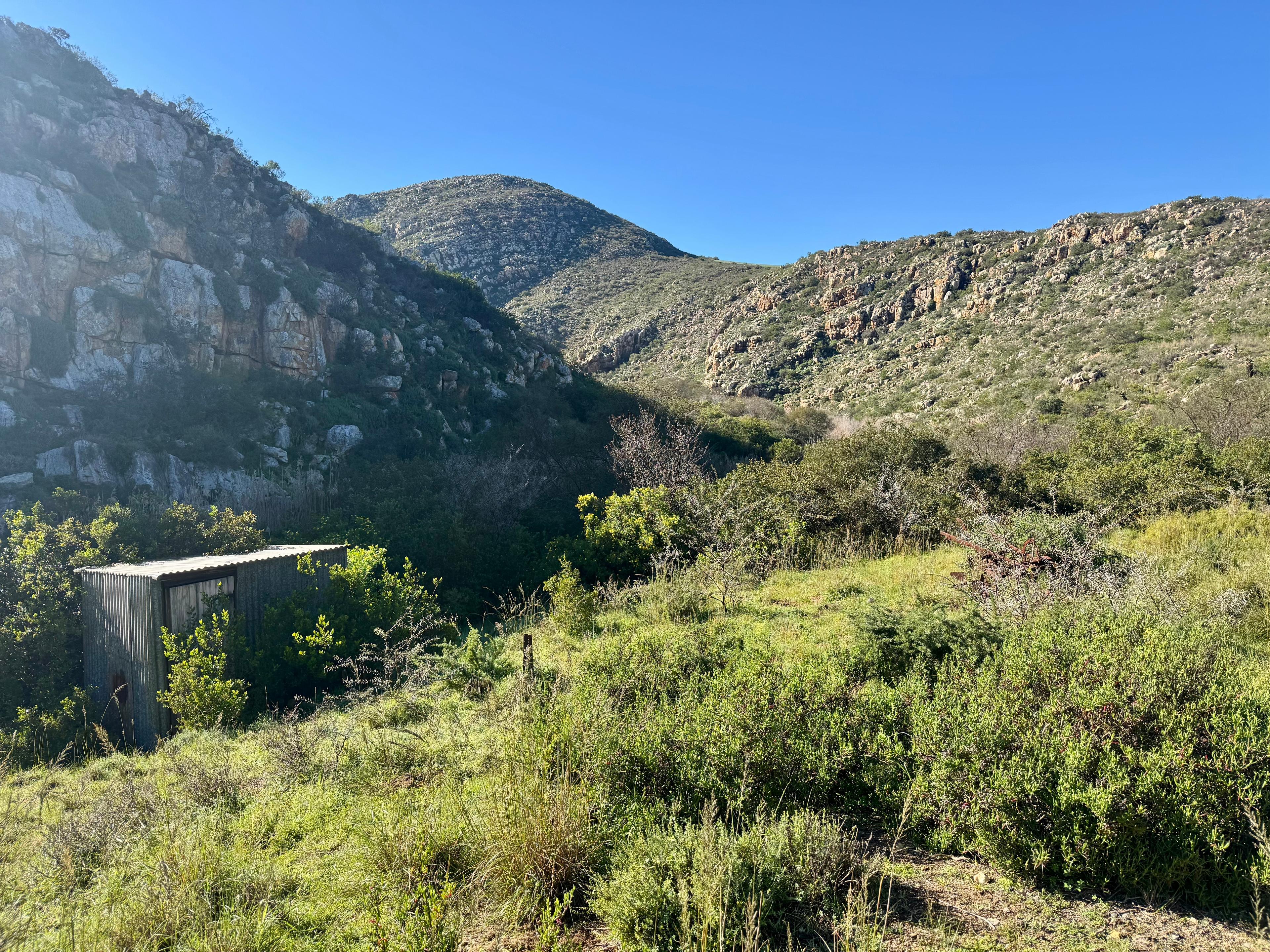 Image 36