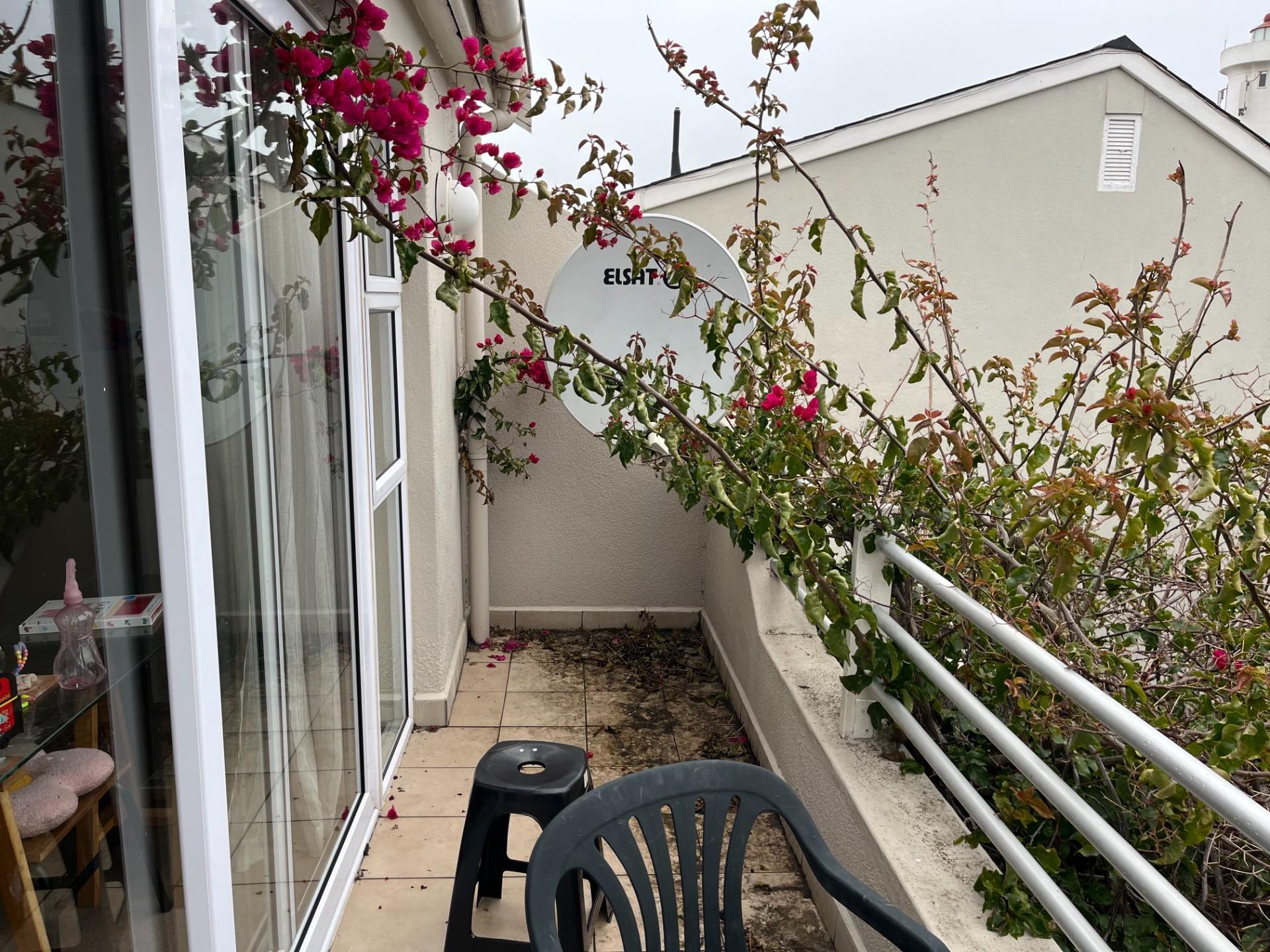 Image 15