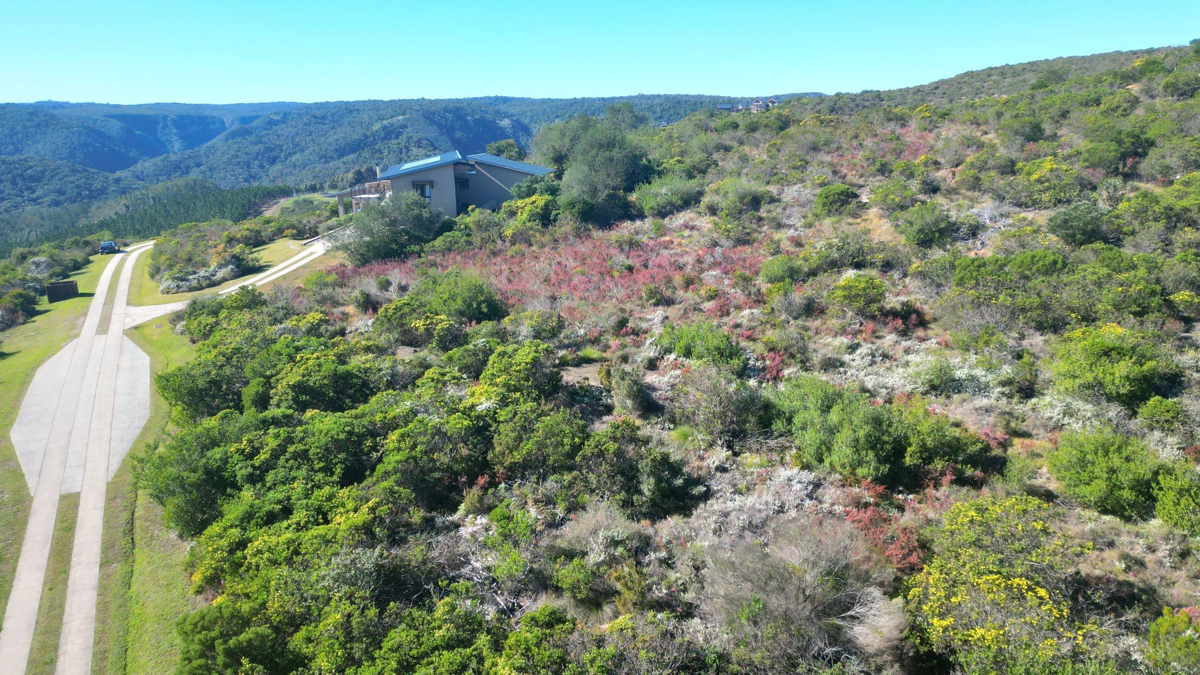 Image 4 of 6