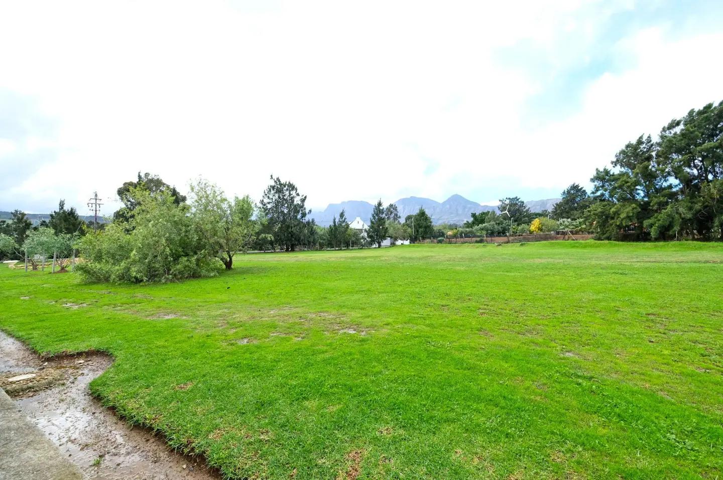 Image 33