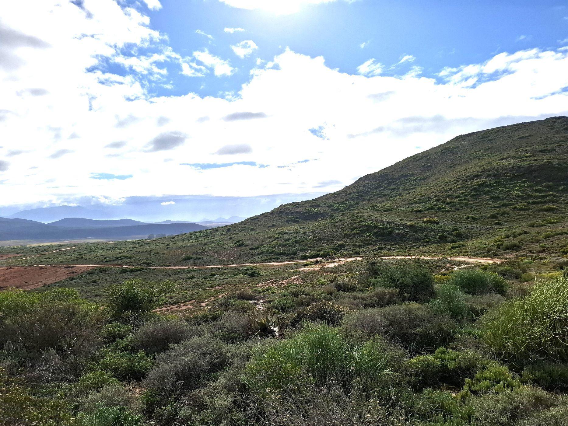 Image 15