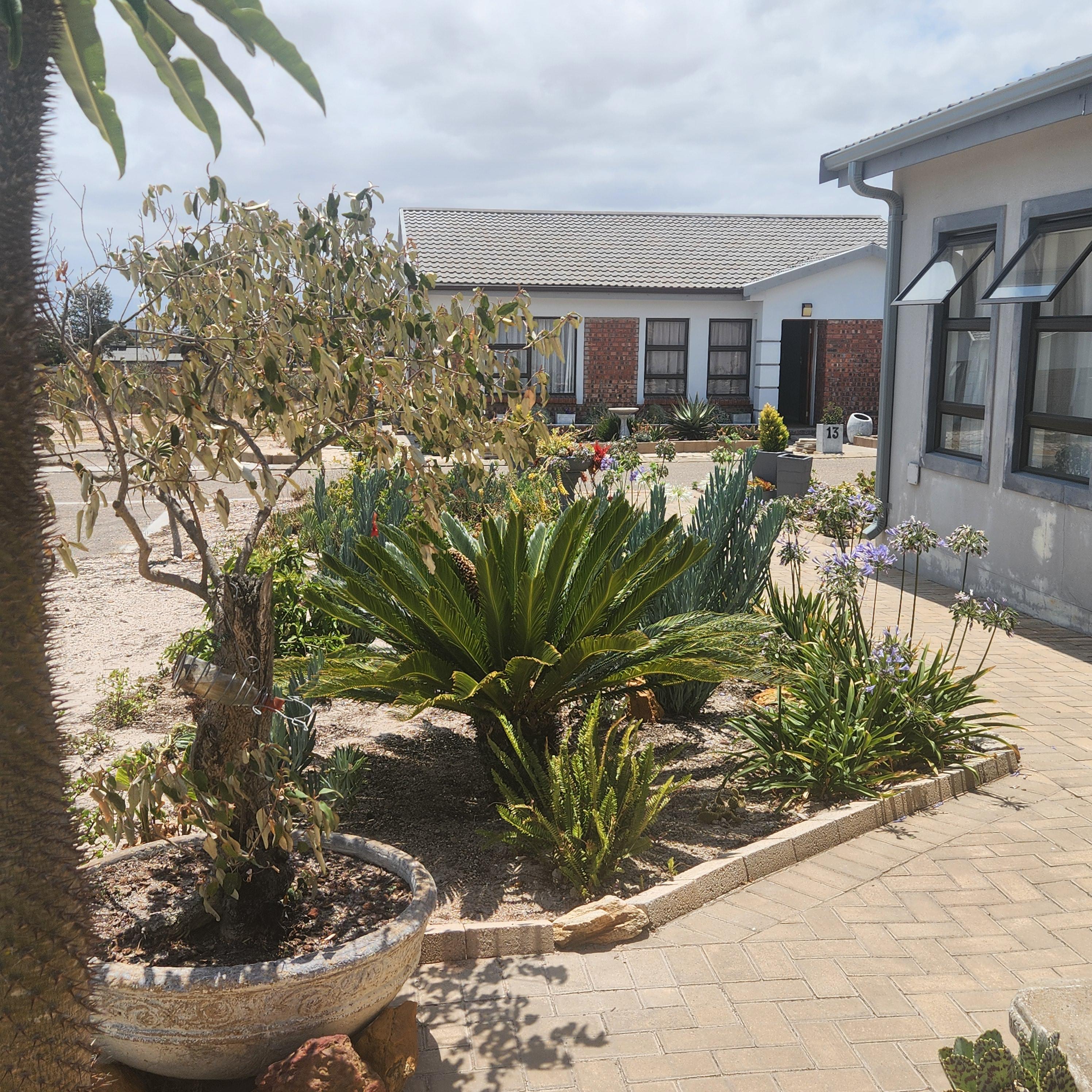 Image 21