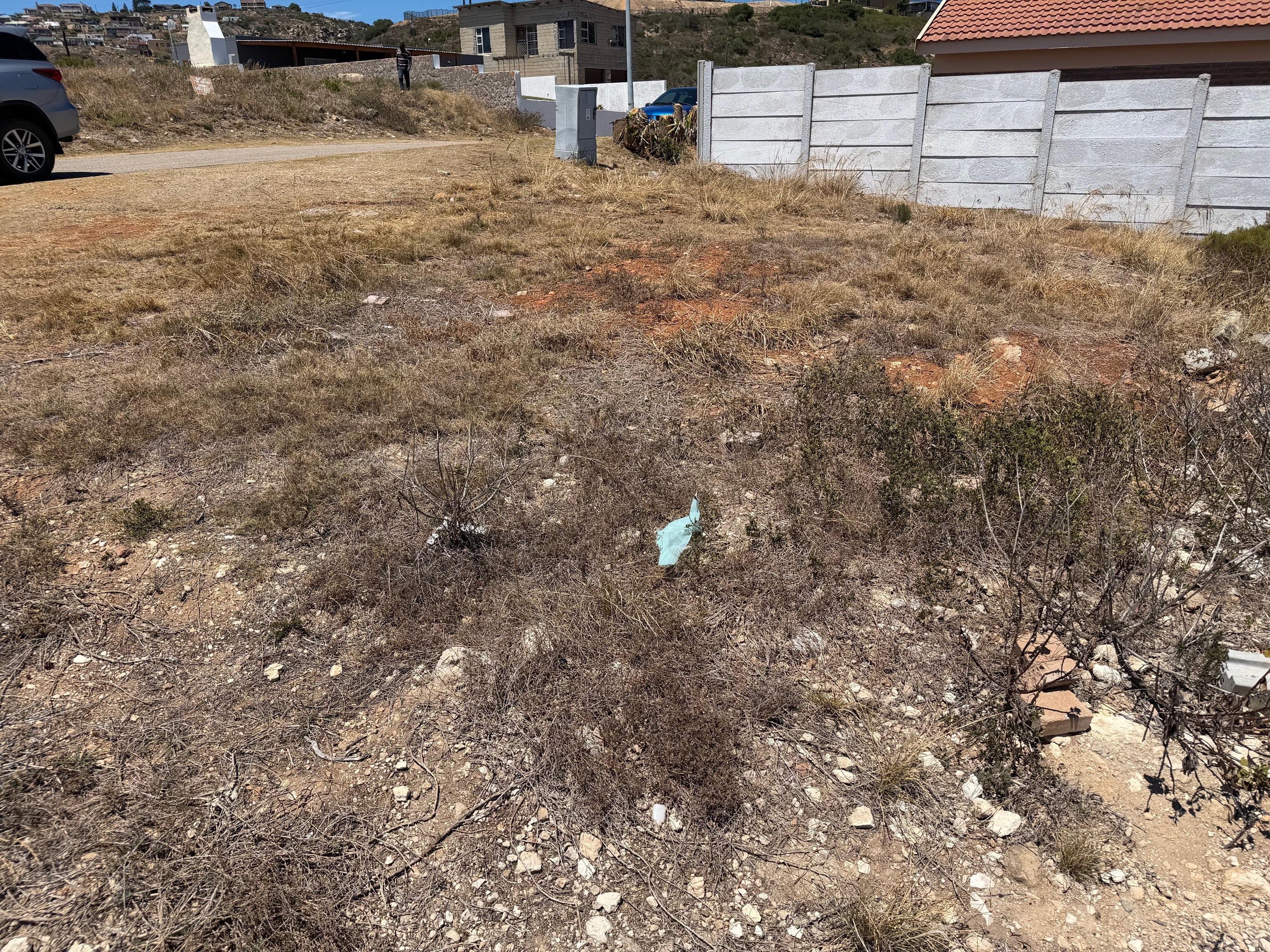 Image 3 of 6