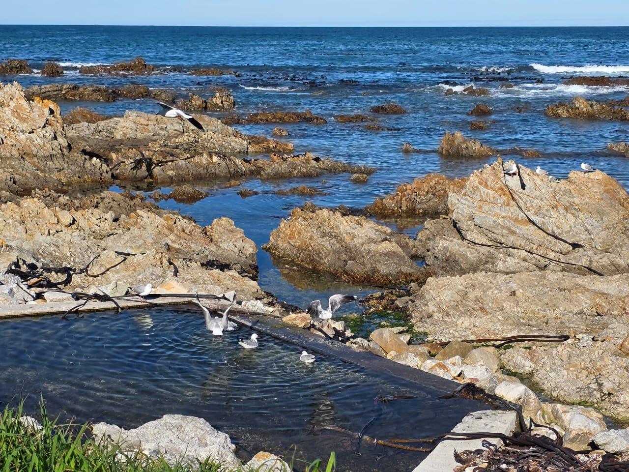 Image 10