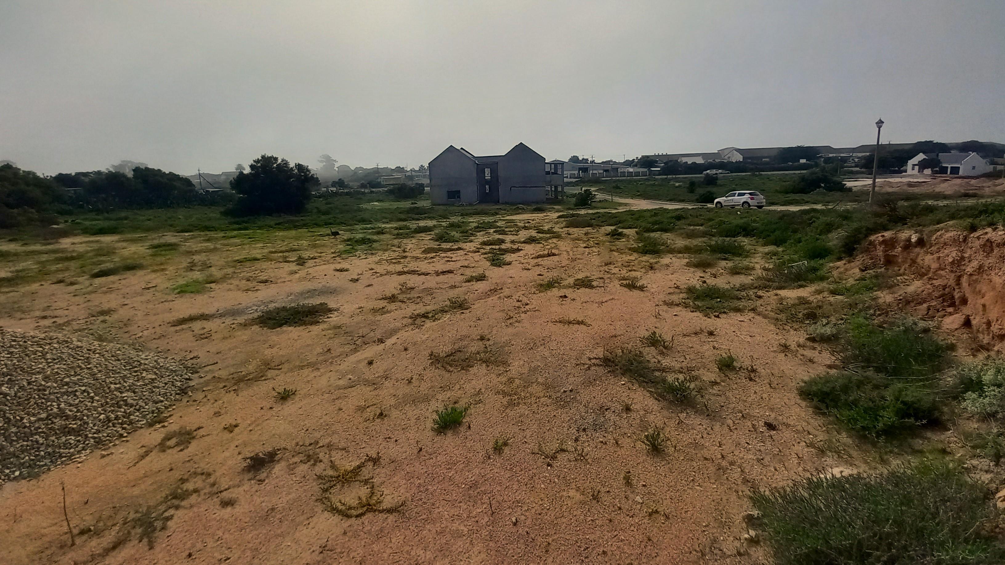 Image 11