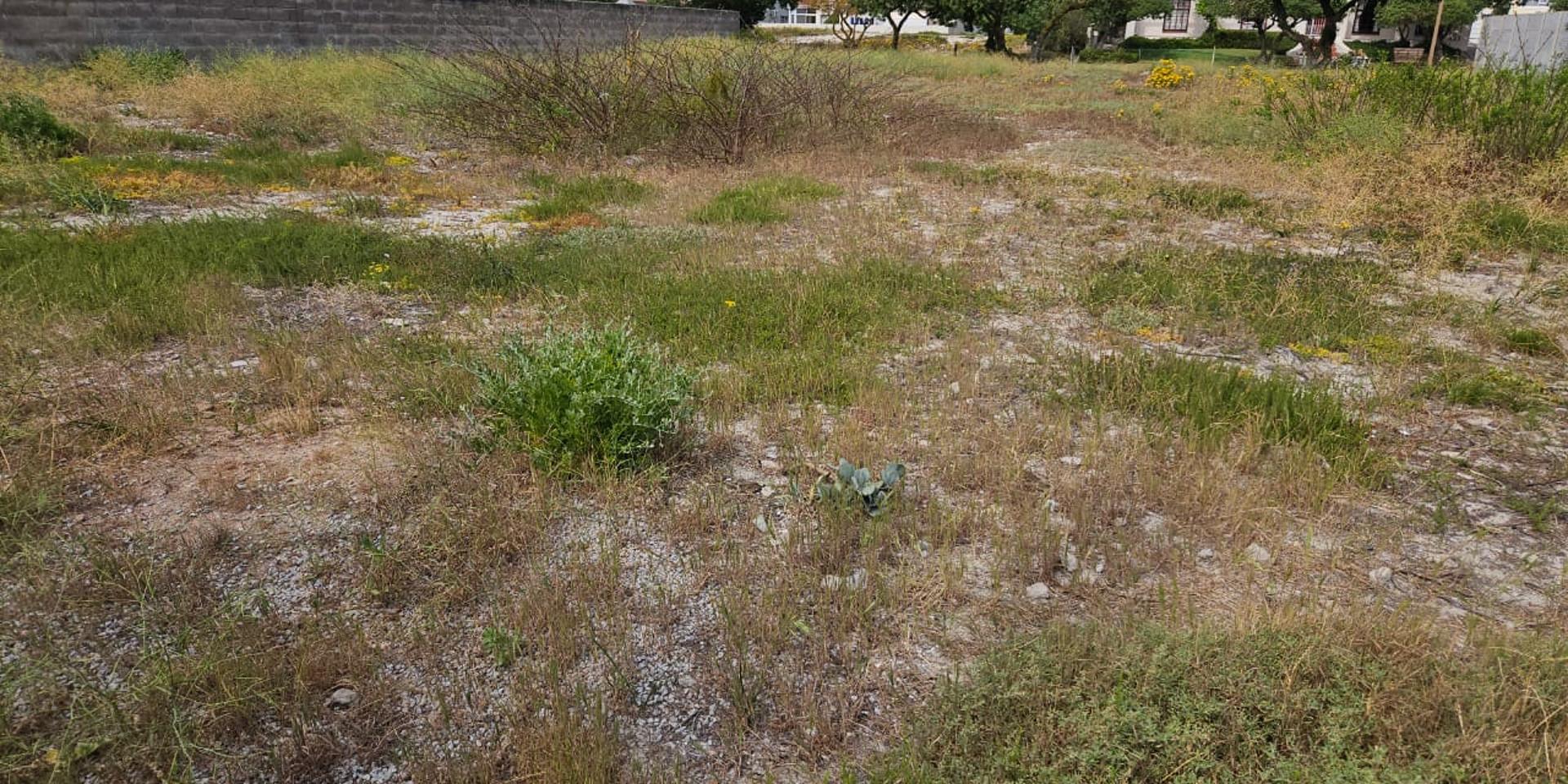 Image 3 of 6