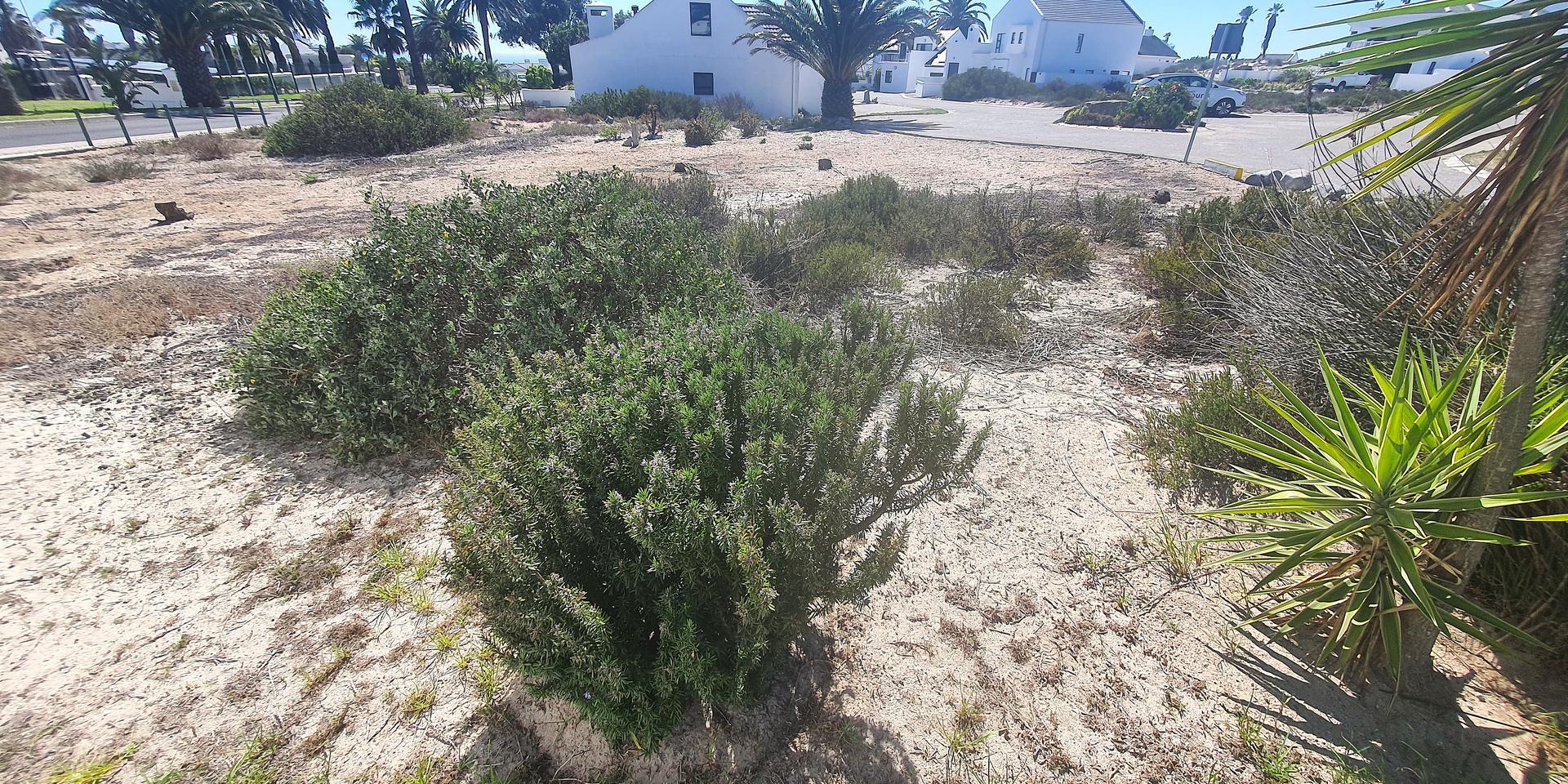 Image 2 of 6