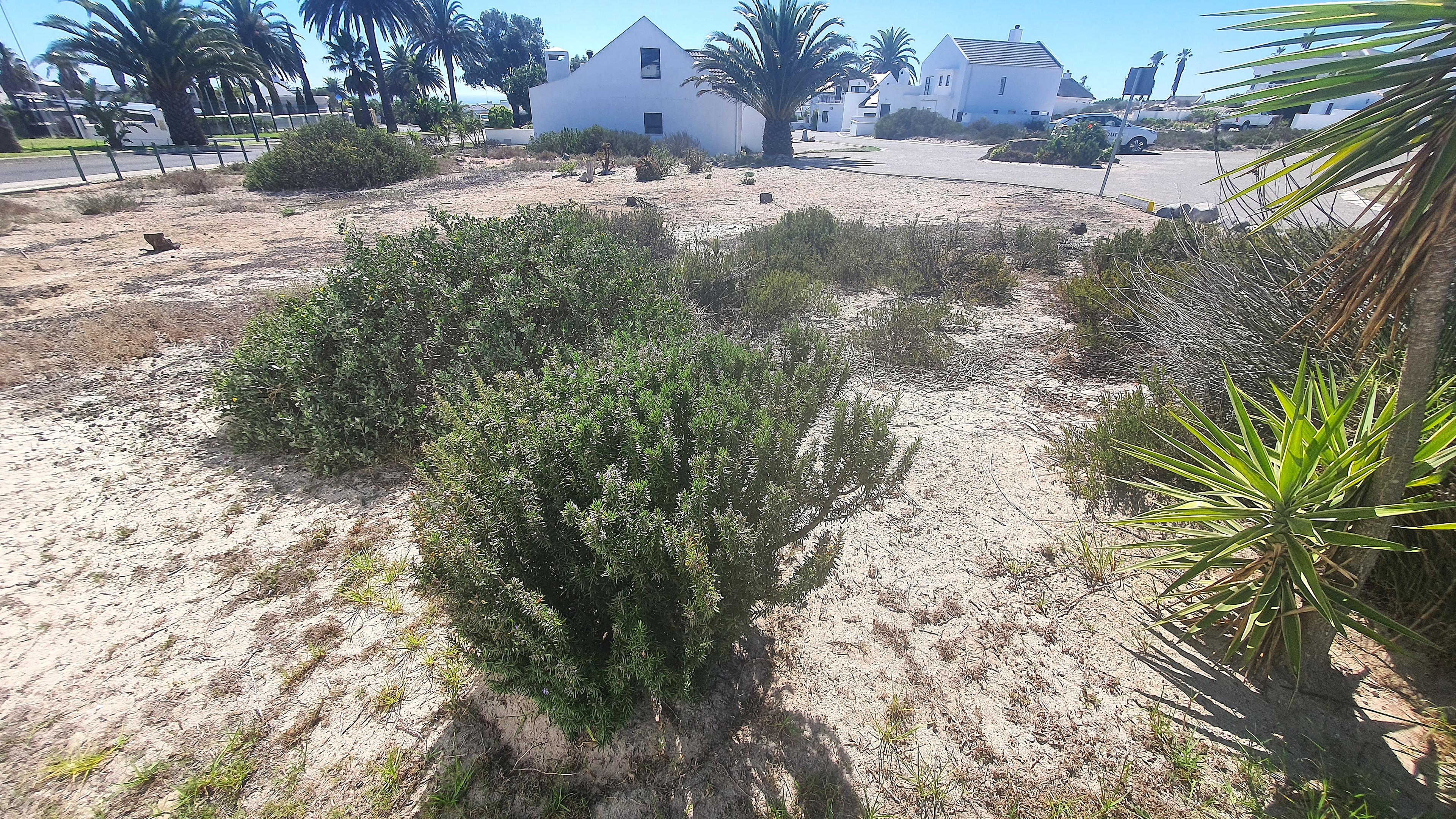 Image 2 of 6